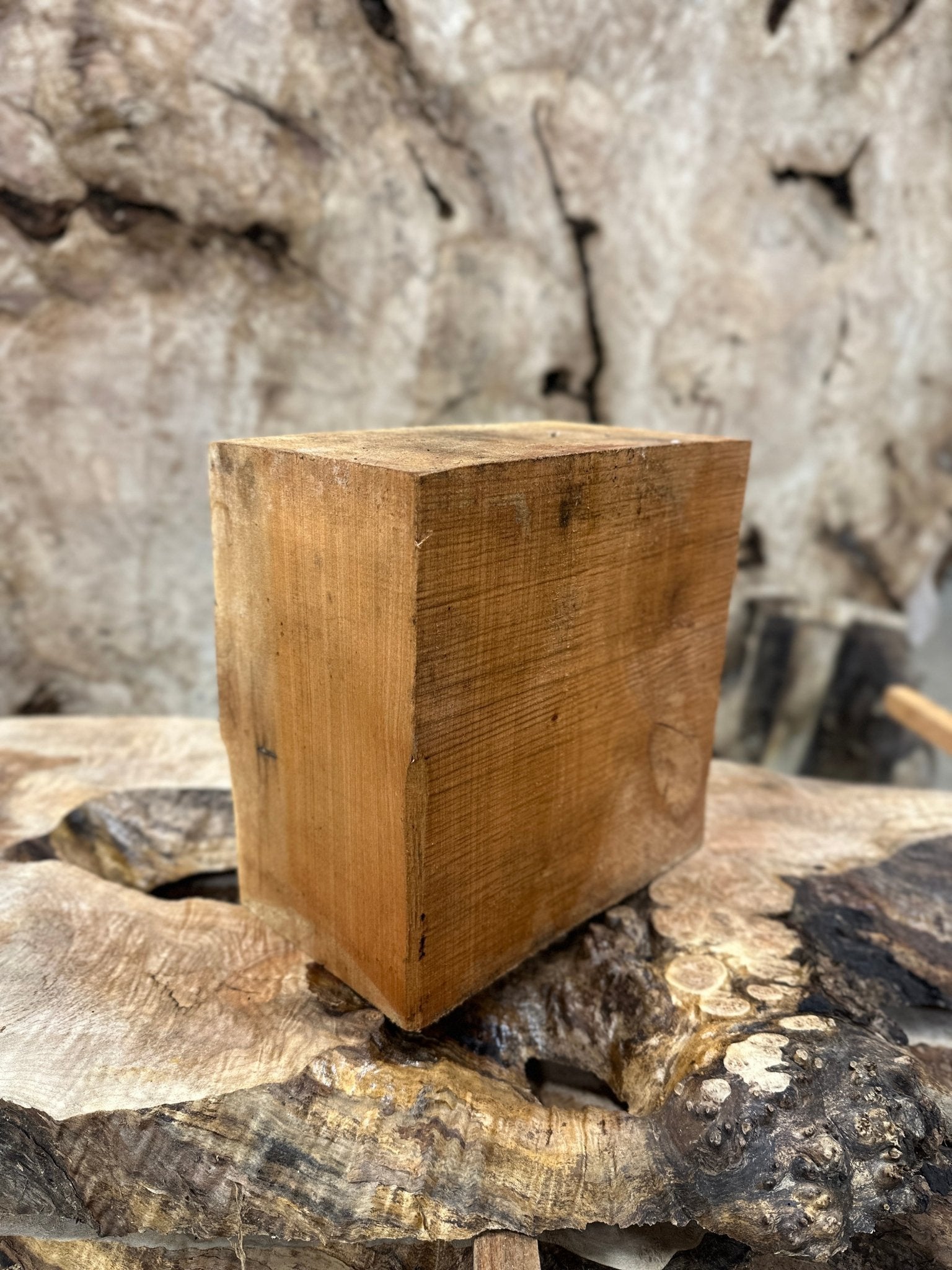 Big Leaf Maple Blank | Big Leaf Maple | Hamilton Lee Supply