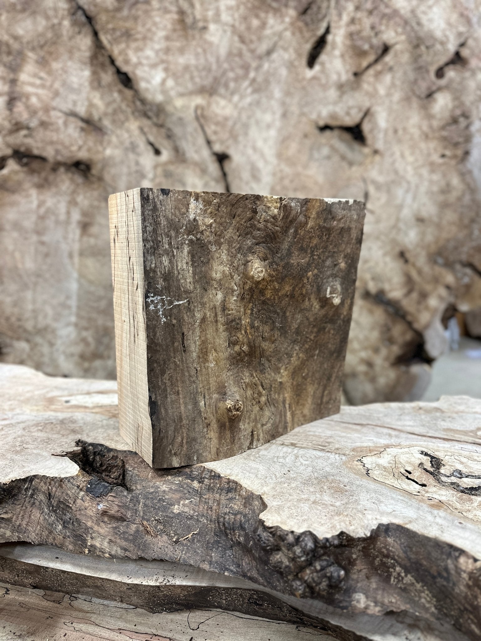 Big Leaf Maple Blank | Big Leaf Maple | Hamilton Lee Supply