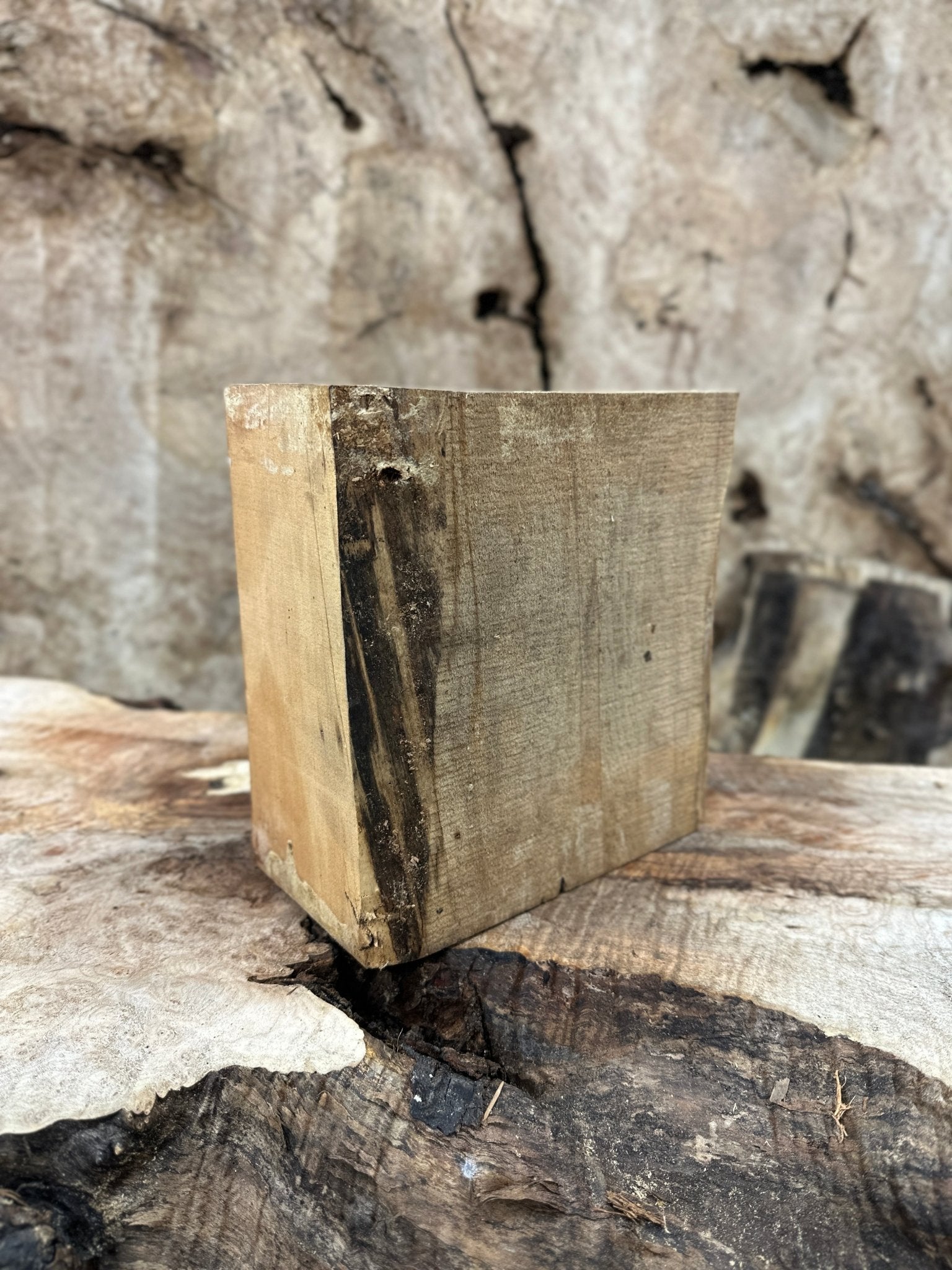 Big Leaf Maple Blank | Big Leaf Maple | Hamilton Lee Supply