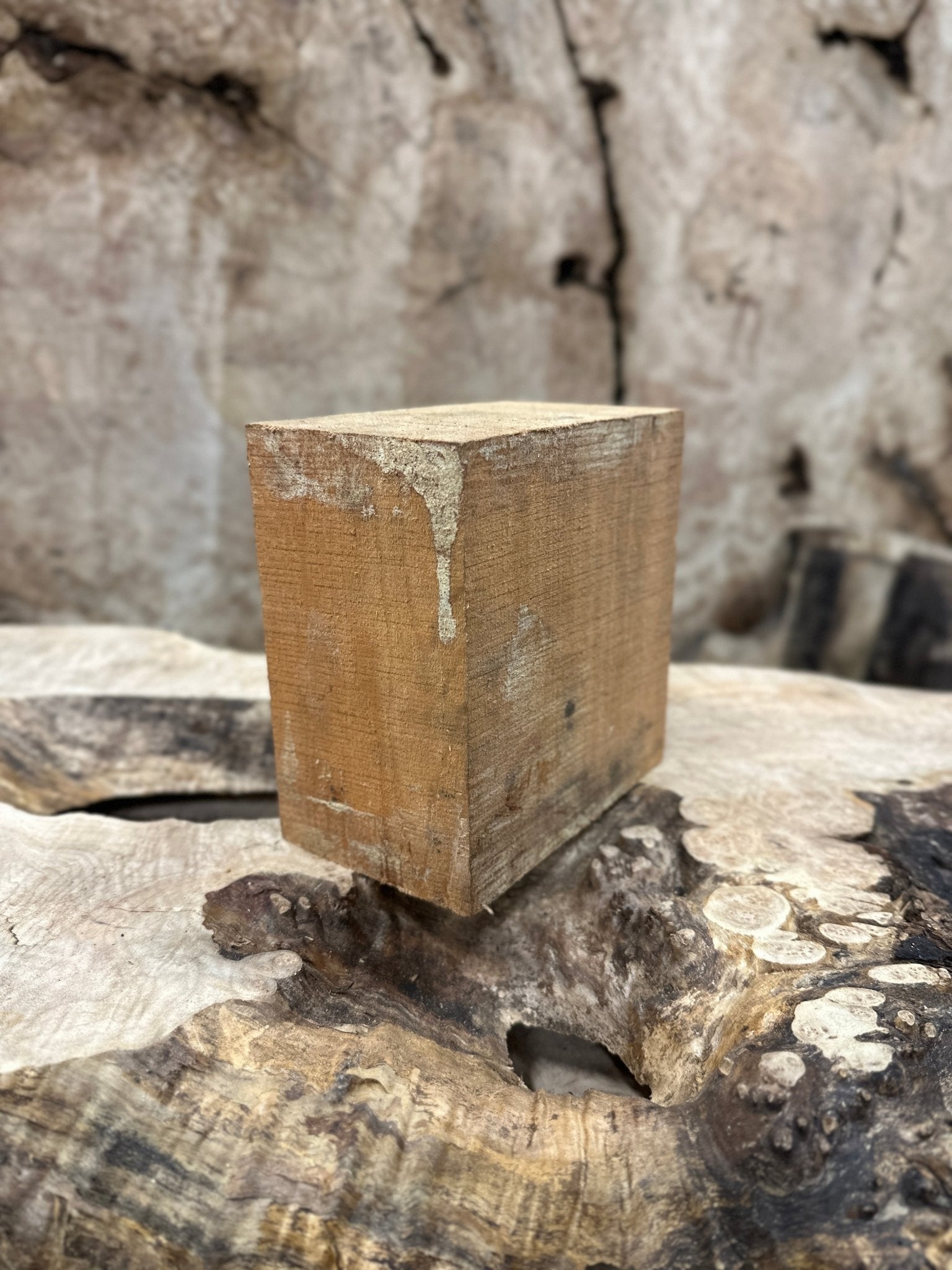 Big Leaf Maple Blank | Big Leaf Maple | Hamilton Lee Supply