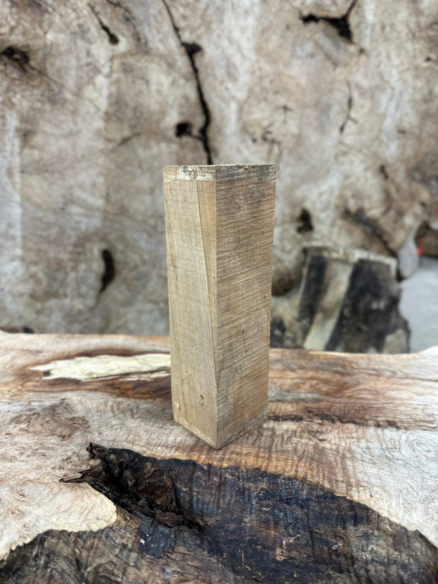 Big Leaf Maple Blank | Big Leaf Maple | Hamilton Lee Supply