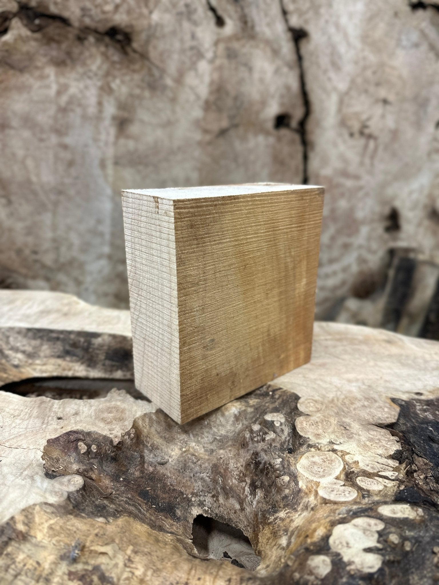 Big Leaf Maple Blank | Big Leaf Maple | Hamilton Lee Supply