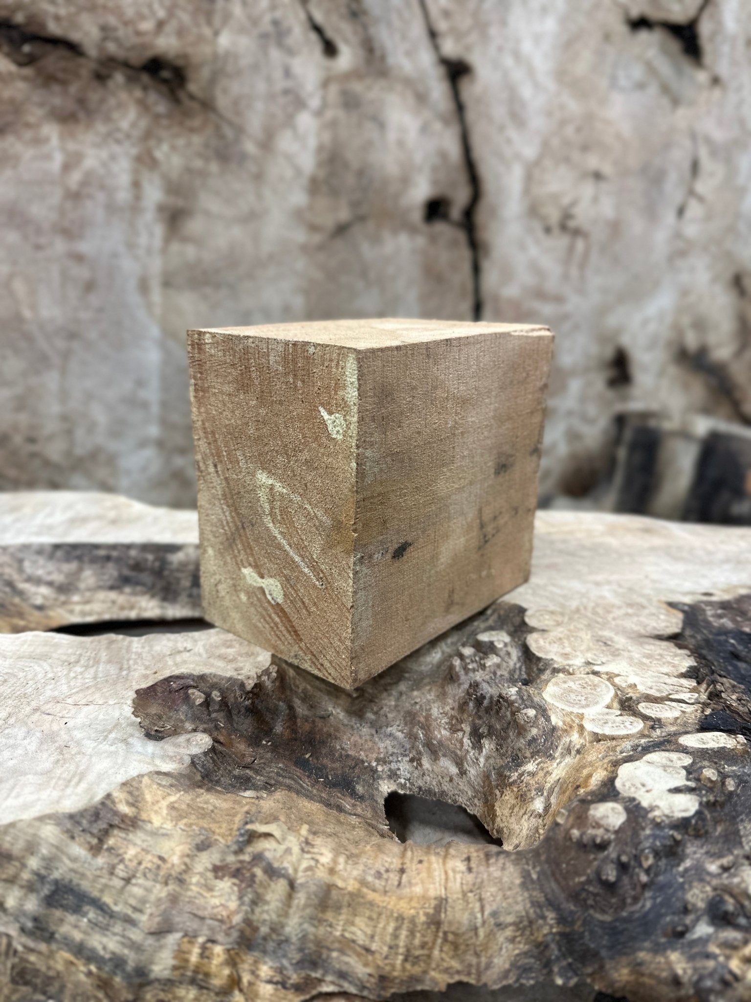 Big Leaf Maple Blank | Big Leaf Maple | Hamilton Lee Supply