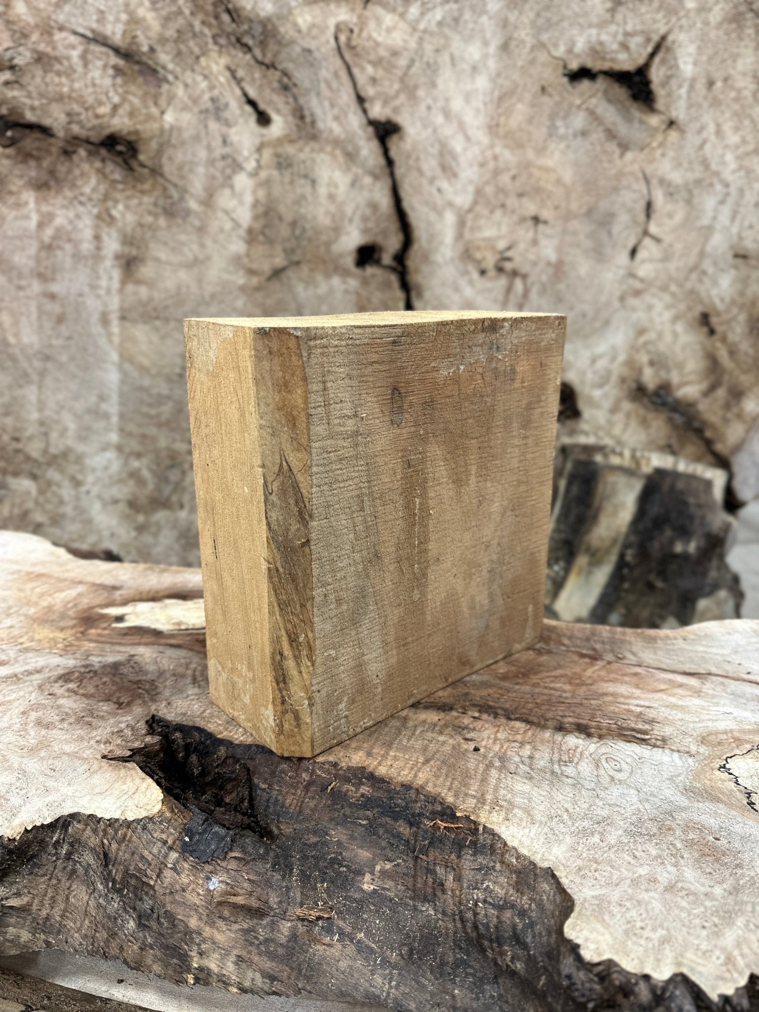 Big Leaf Maple Blank | Big Leaf Maple | Hamilton Lee Supply