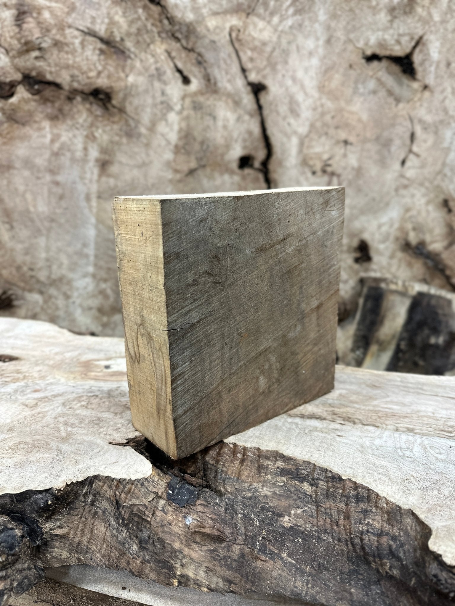 Big Leaf Maple Blank | Big Leaf Maple | Hamilton Lee Supply