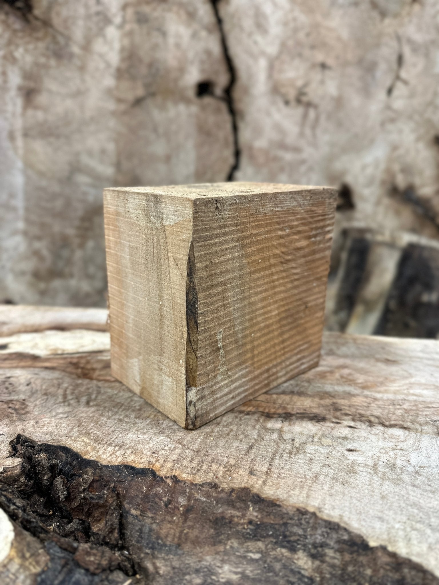 Big Leaf Maple Blank | Big Leaf Maple | Hamilton Lee Supply