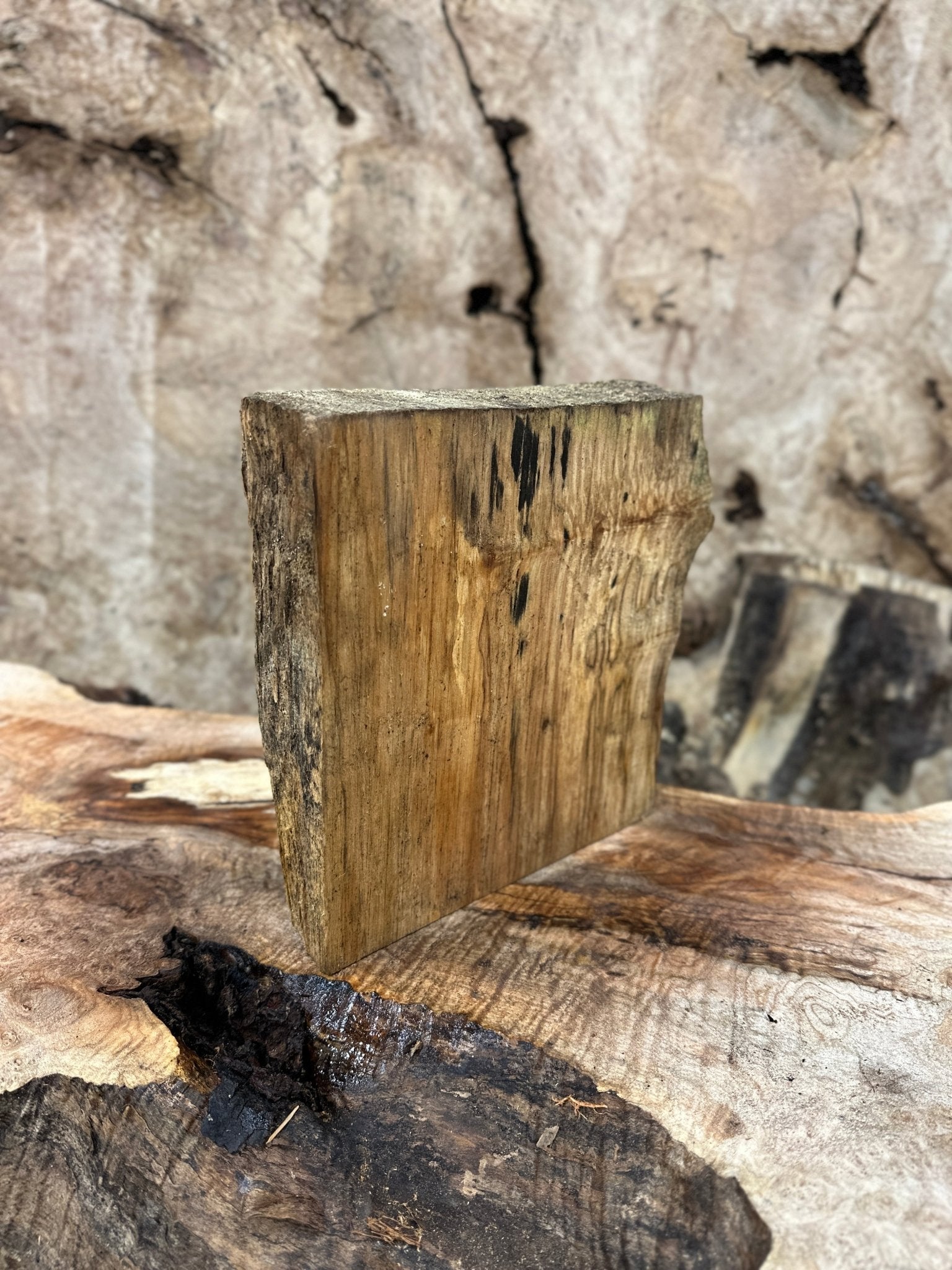 Big Leaf Maple Blank | Big Leaf Maple | Hamilton Lee Supply