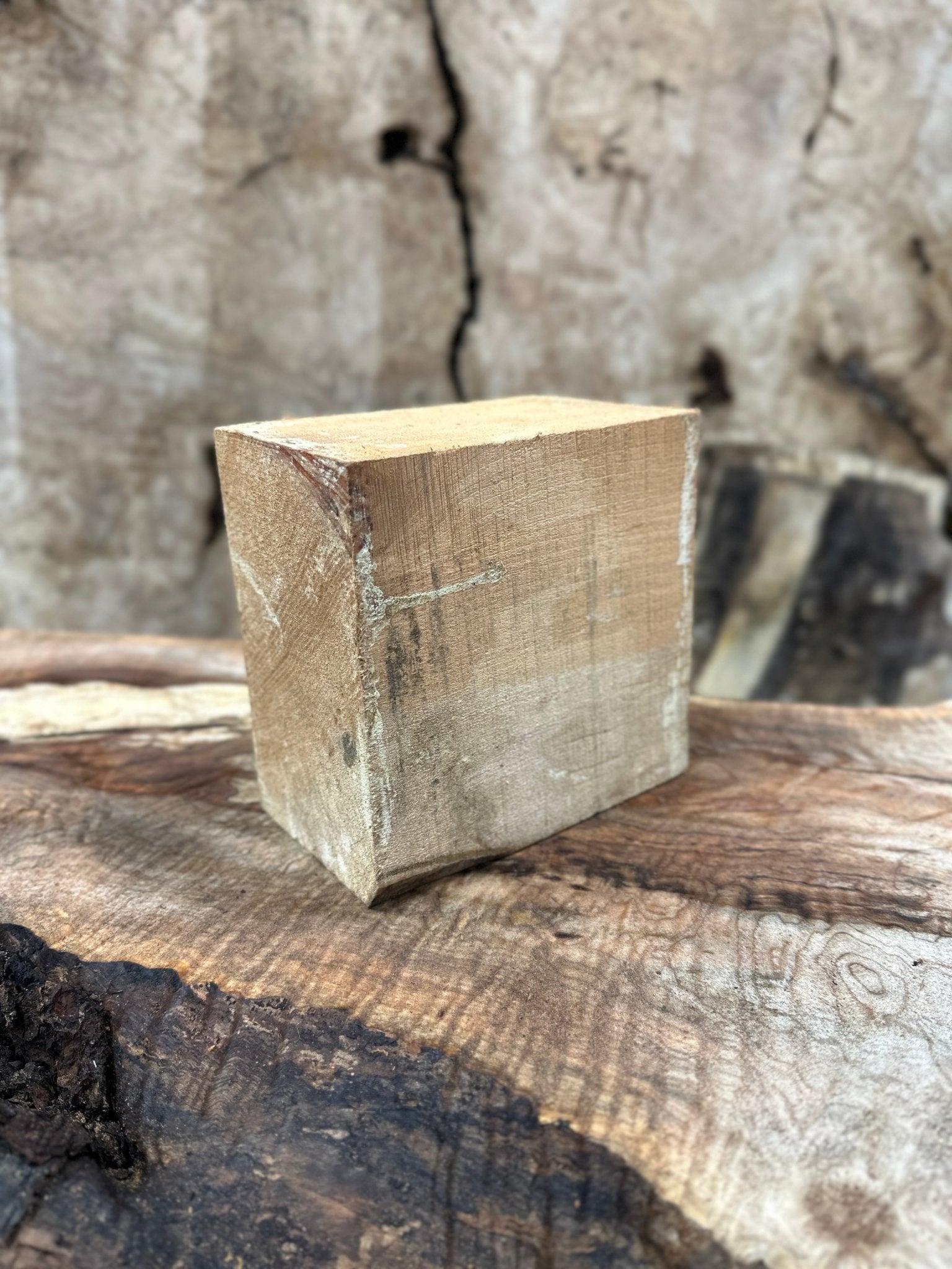 Big Leaf Maple Blank | Big Leaf Maple | Hamilton Lee Supply