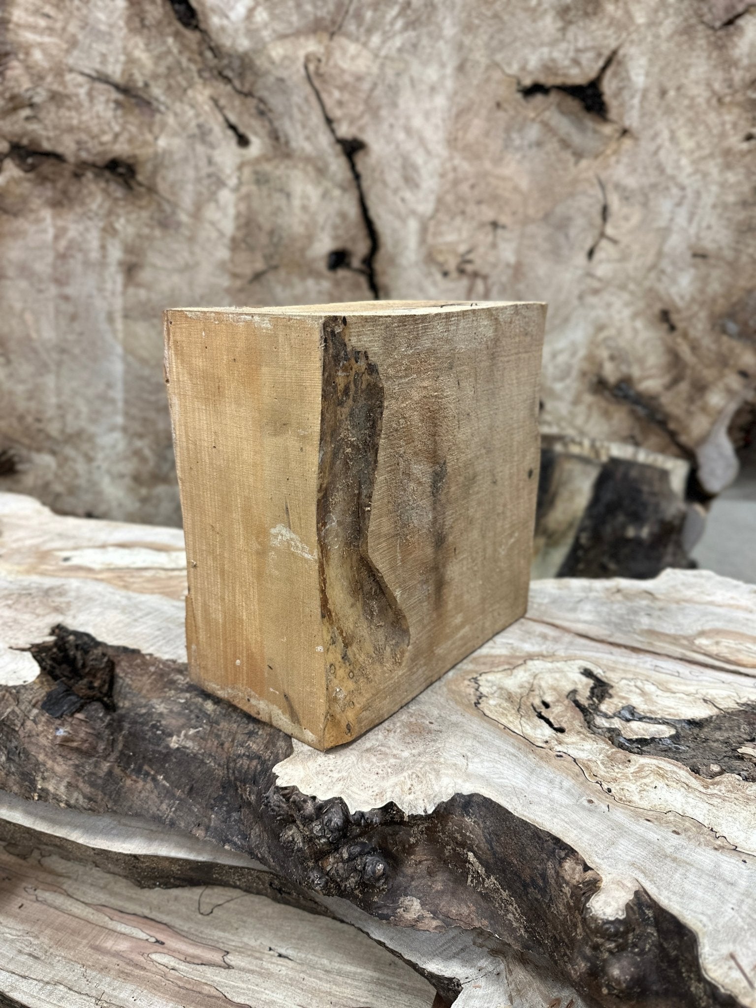 Big Leaf Maple Blank | Big Leaf Maple | Hamilton Lee Supply