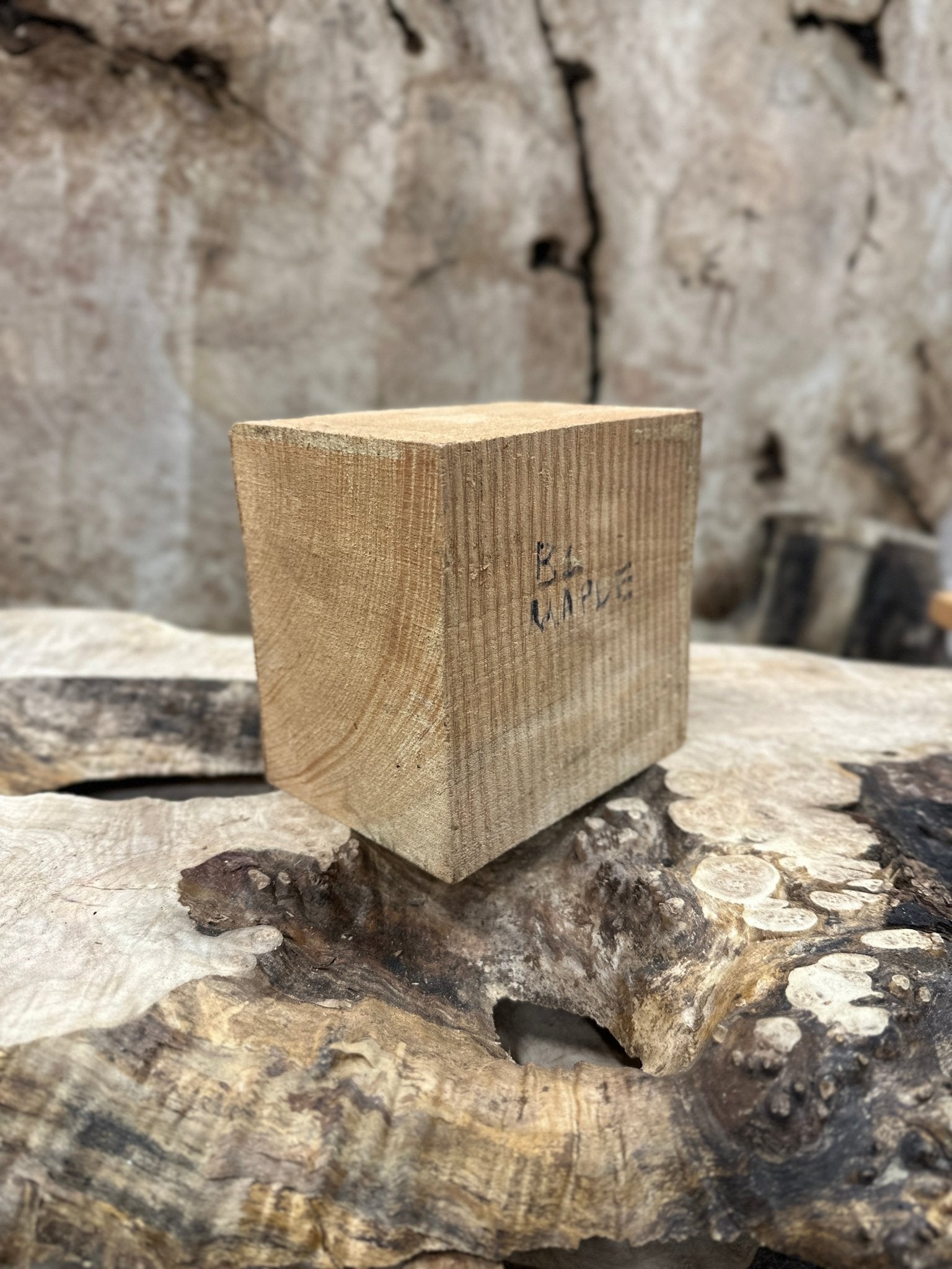 Big Leaf Maple Blank | Big Leaf Maple | Hamilton Lee Supply