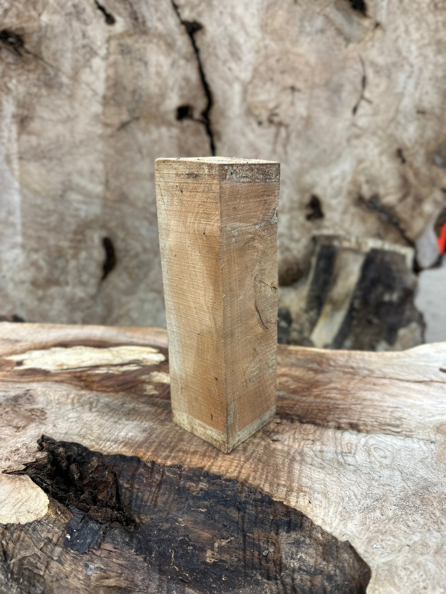 Big Leaf Maple Blank | Big Leaf Maple | Hamilton Lee Supply