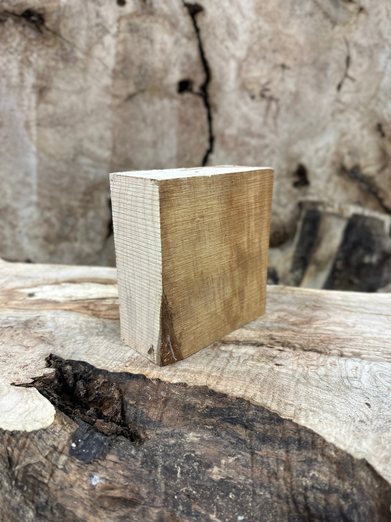 Big Leaf Maple Blank | Big Leaf Maple | Hamilton Lee Supply