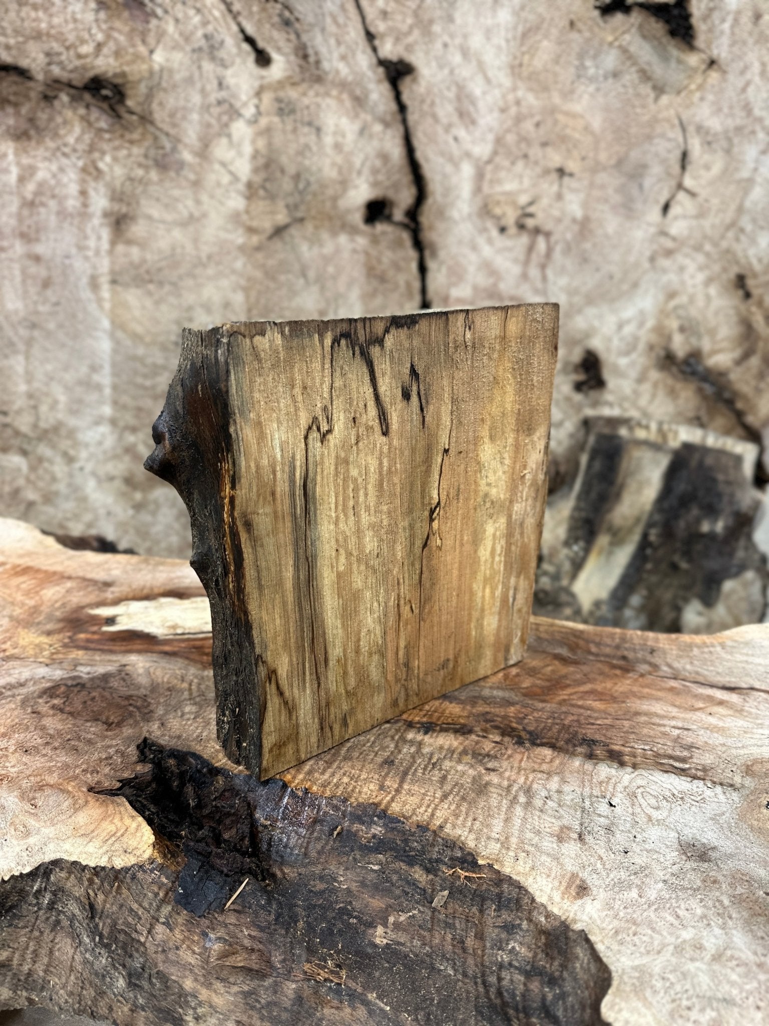 Big Leaf Maple Blank | Big Leaf Maple | Hamilton Lee Supply