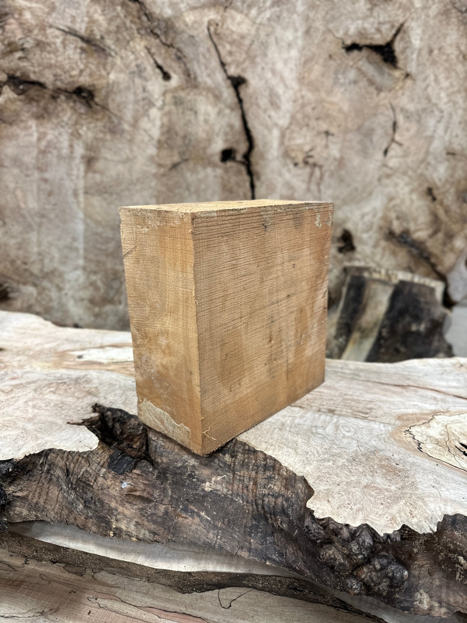 Big Leaf Maple Blank | Big Leaf Maple | Hamilton Lee Supply