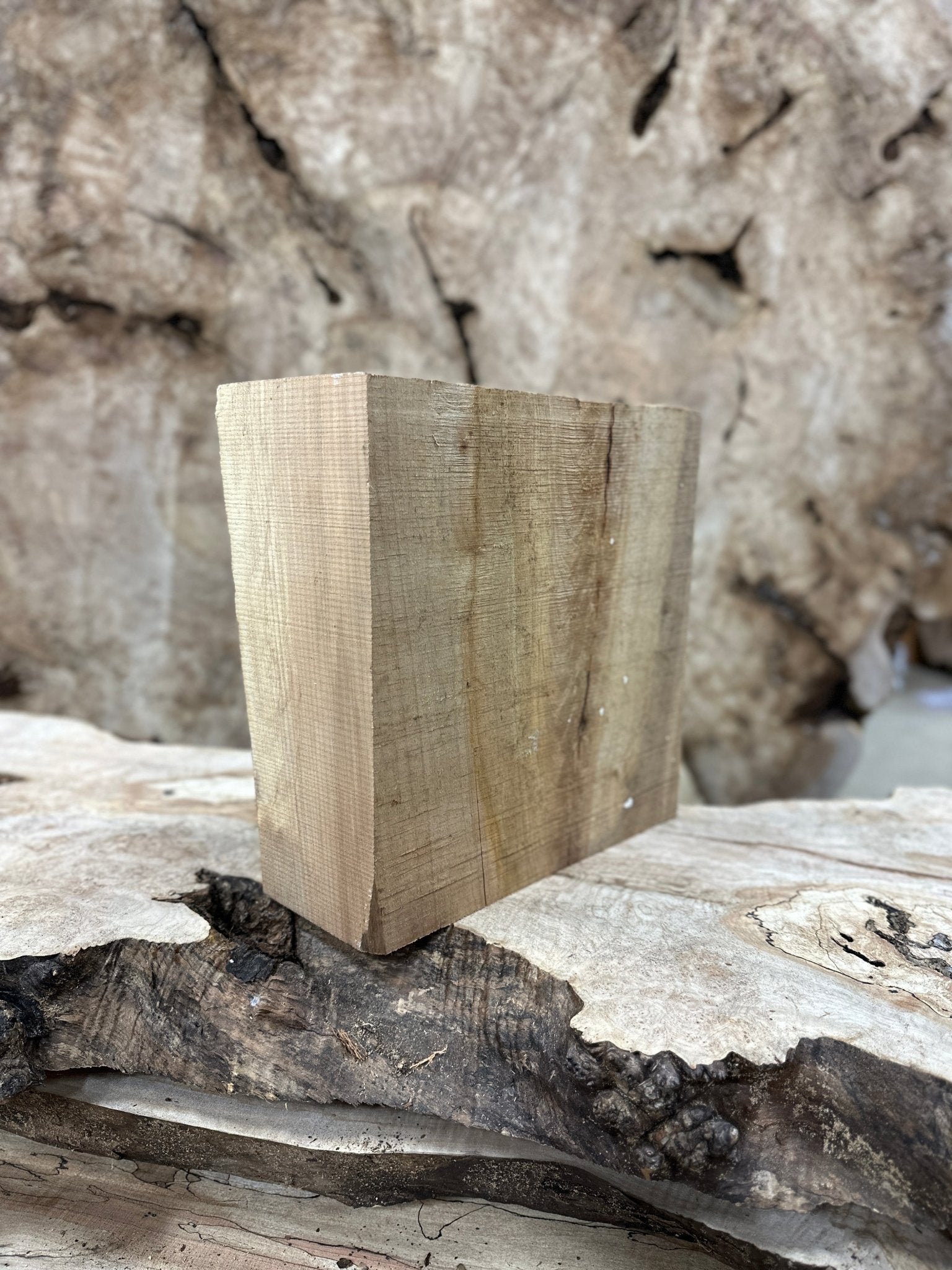 Big Leaf Maple Blank | Big Leaf Maple | Hamilton Lee Supply