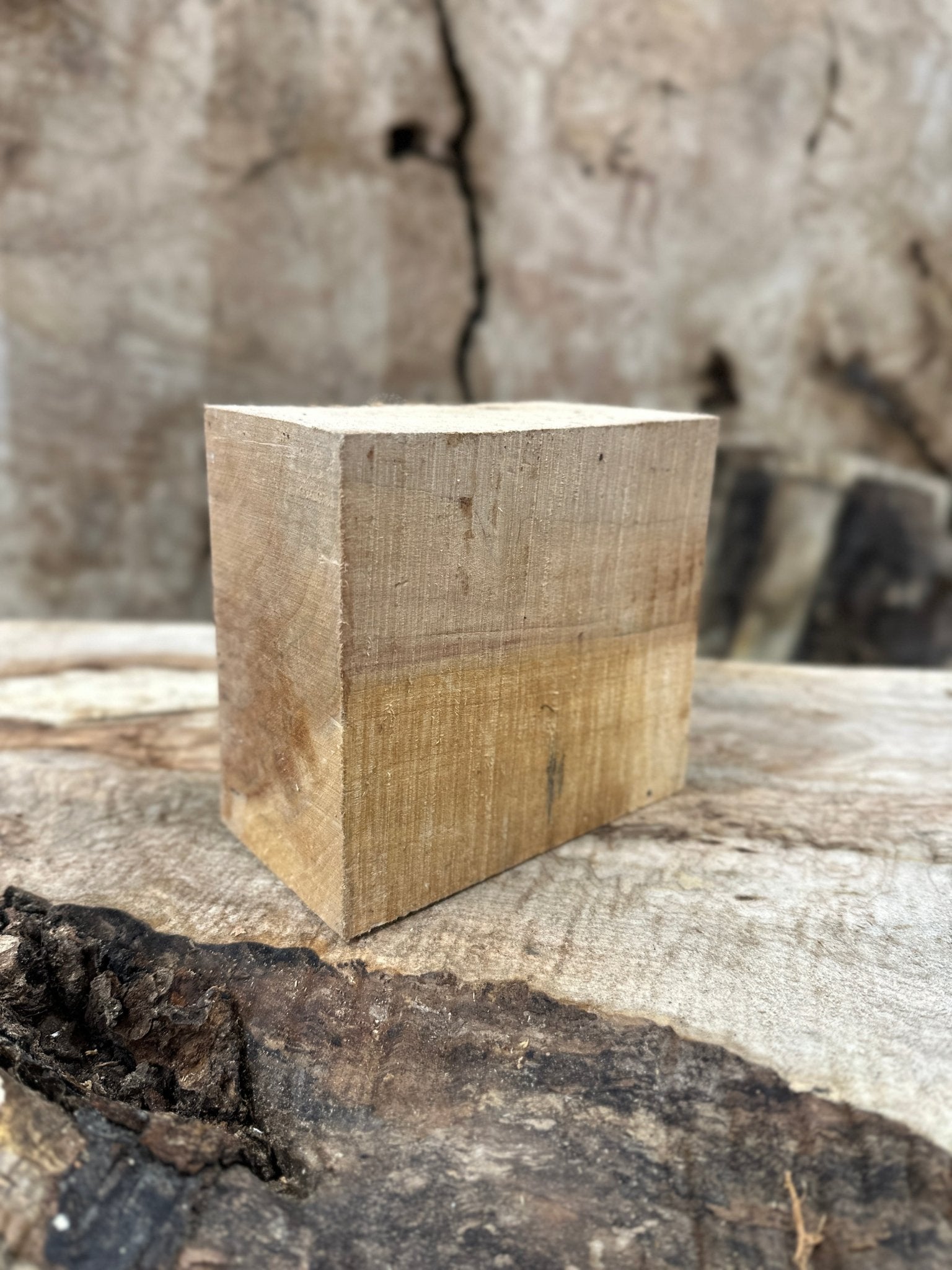 Big Leaf Maple Blank | Big Leaf Maple | Hamilton Lee Supply