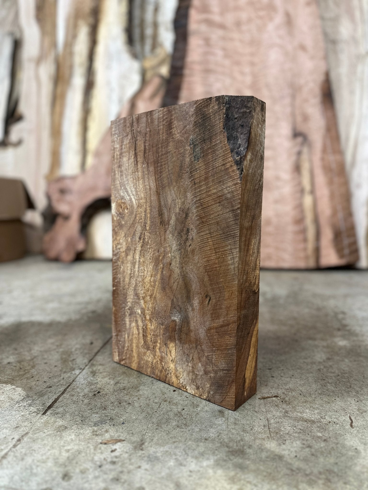 Big Leaf Maple Blank | Big Leaf Maple | Double Diamond