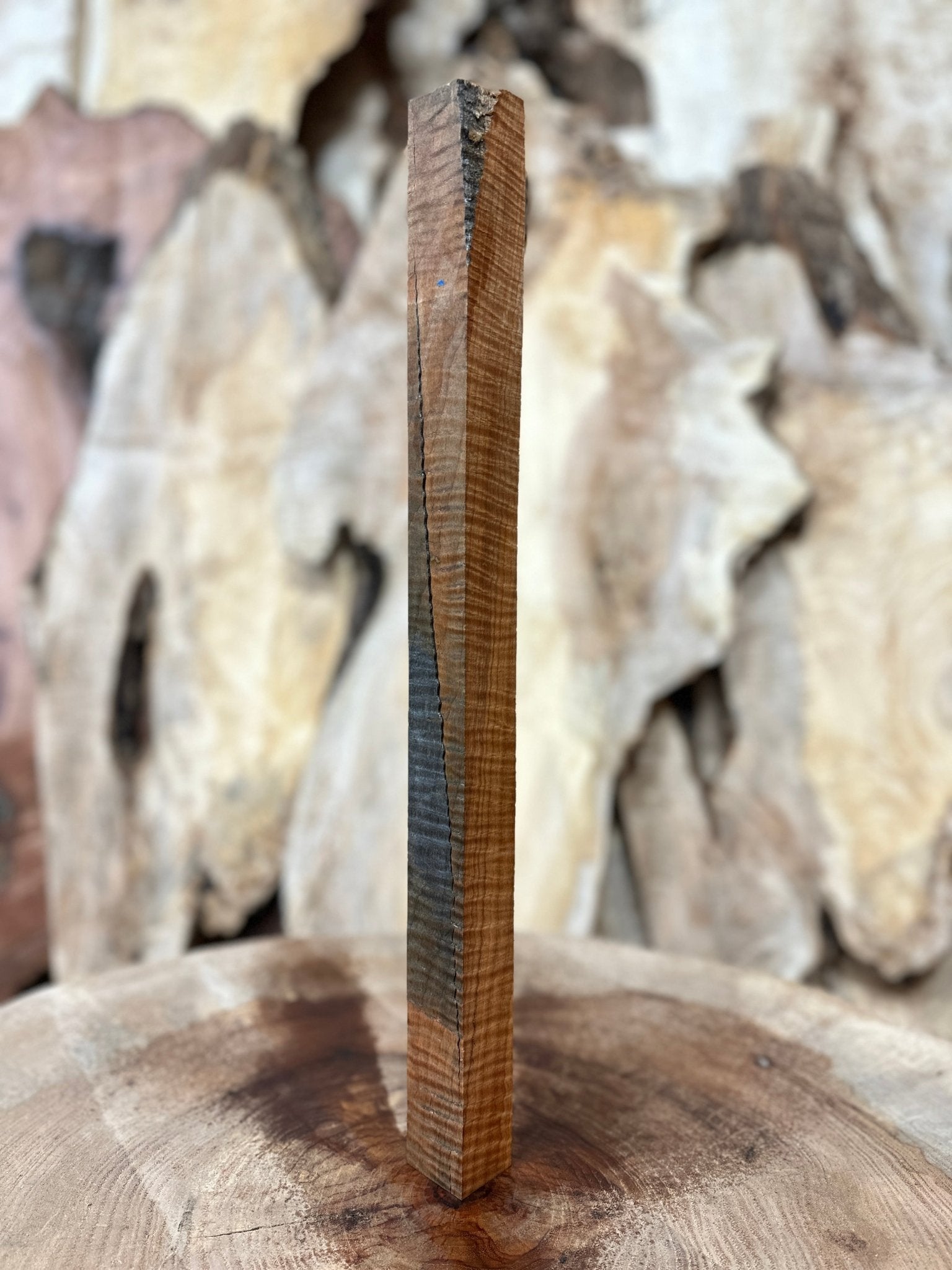 Big Leaf Maple Blank | Big Leaf Maple | Hamilton Lee Supply