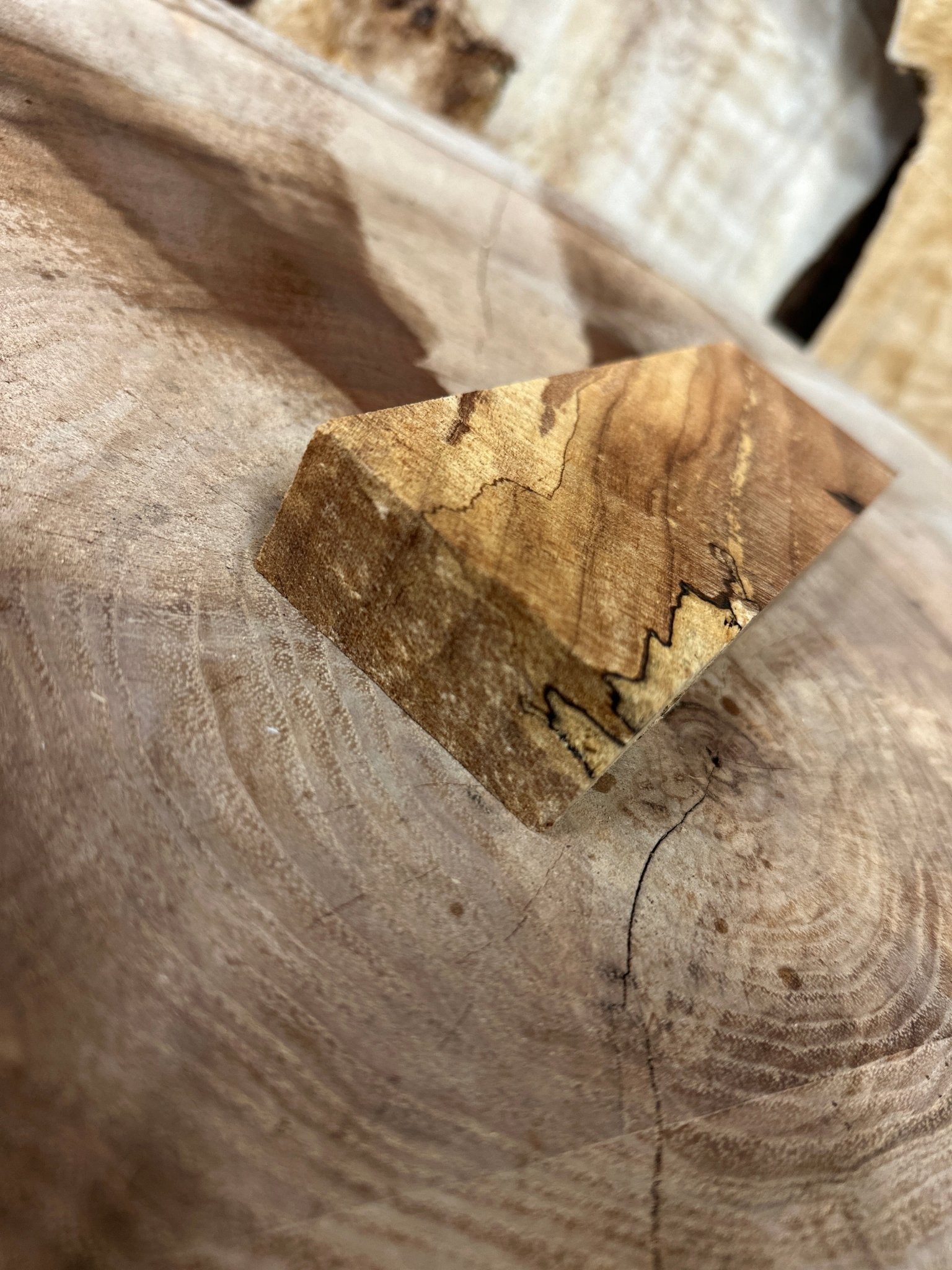 Big Leaf Maple Blank | Big Leaf Maple | Hamilton Lee Supply