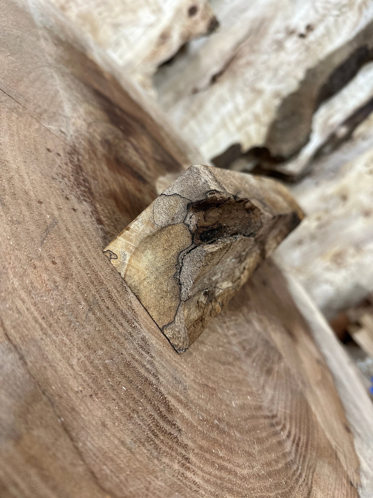 Big Leaf Maple Blank | Big Leaf Maple | Hamilton Lee Supply