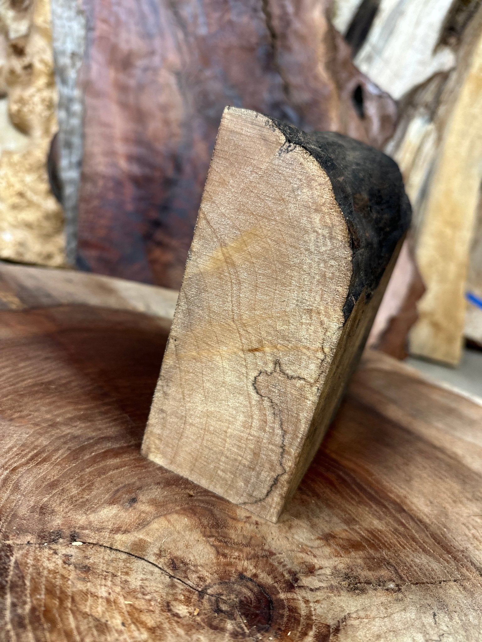 Big Leaf Maple Blank | Big Leaf Maple | Hamilton Lee Supply