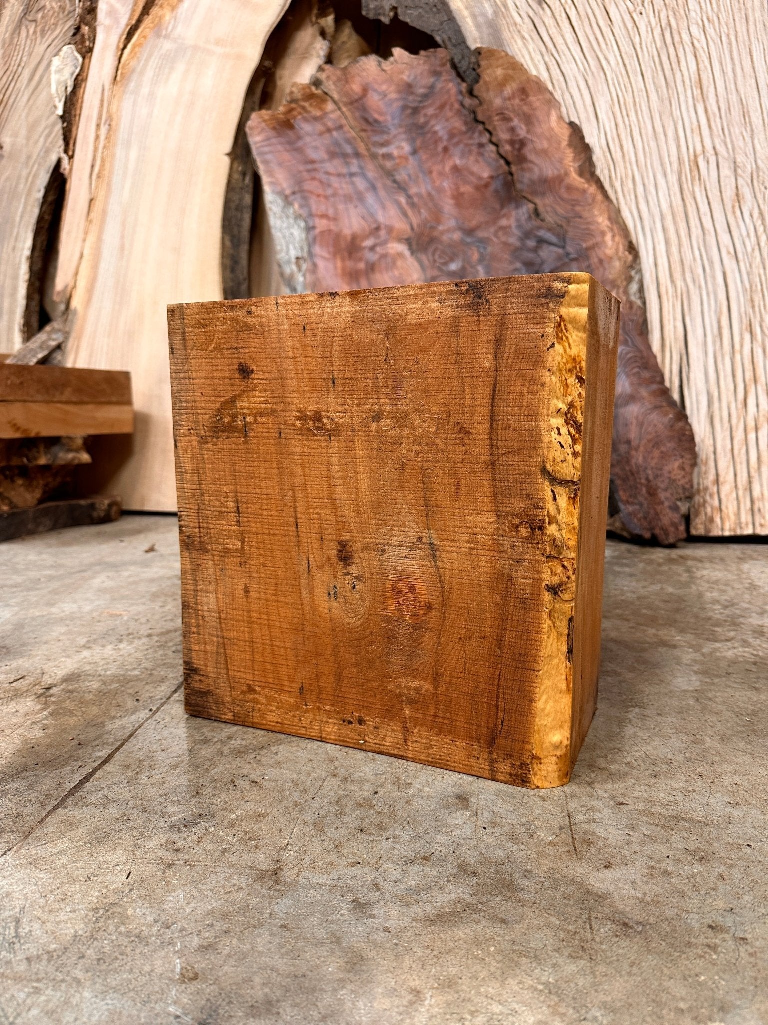 Big Leaf Maple Blank | Big Leaf Maple | Hamilton Lee Supply