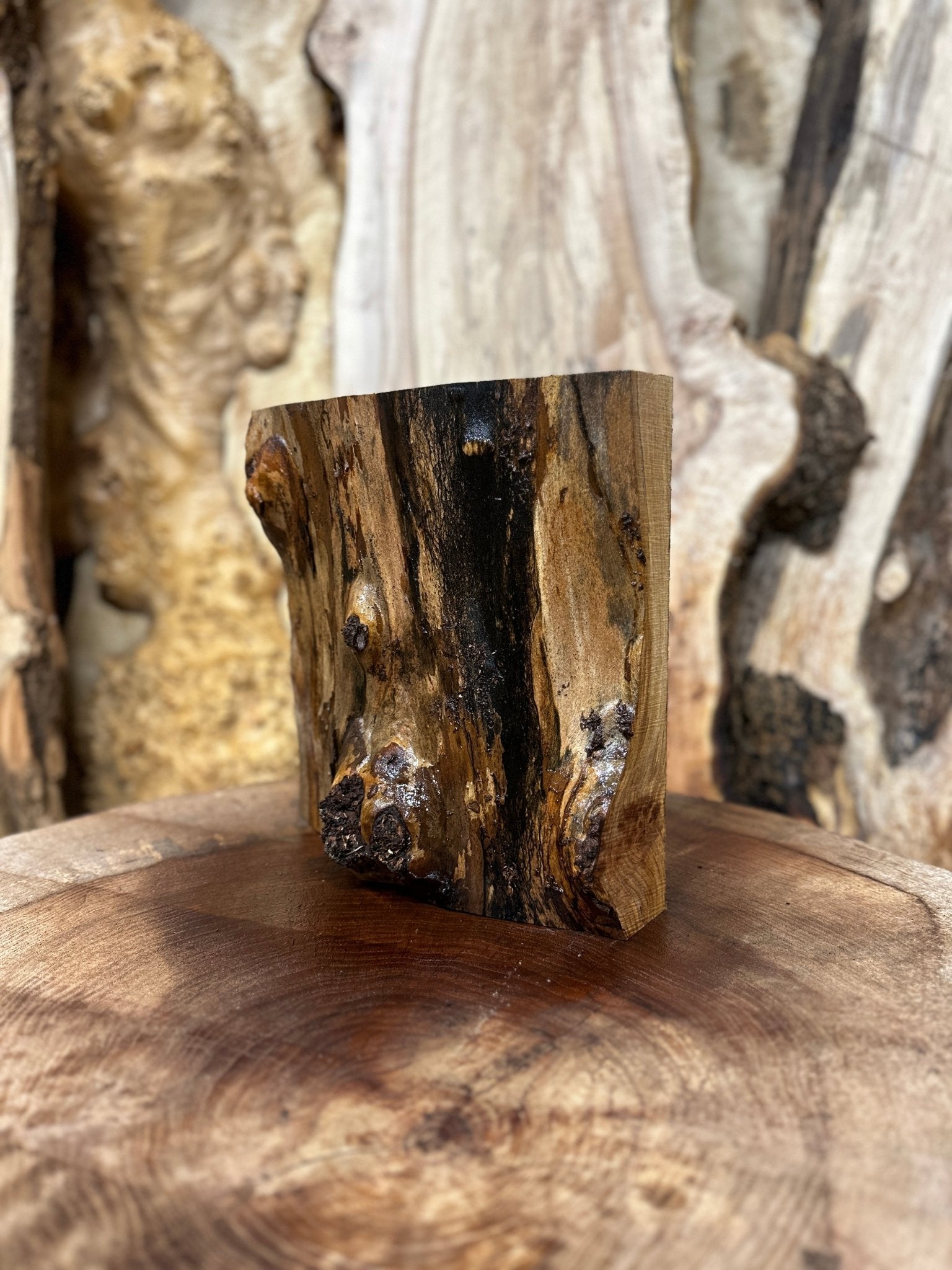 Big Leaf Maple Blank | Big Leaf Maple | Hamilton Lee Supply