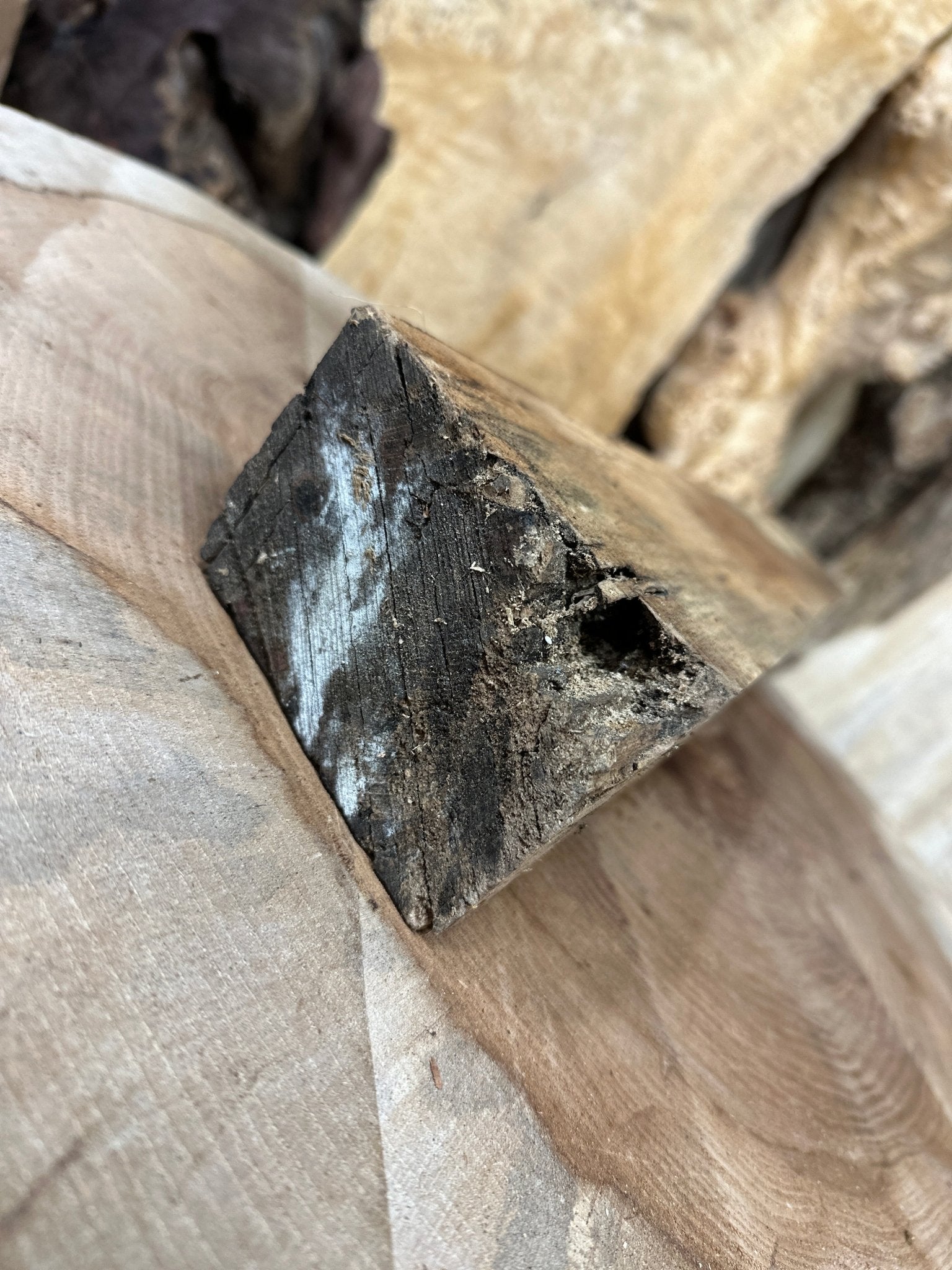 Big Leaf Maple Blank | Big Leaf Maple | Hamilton Lee Supply