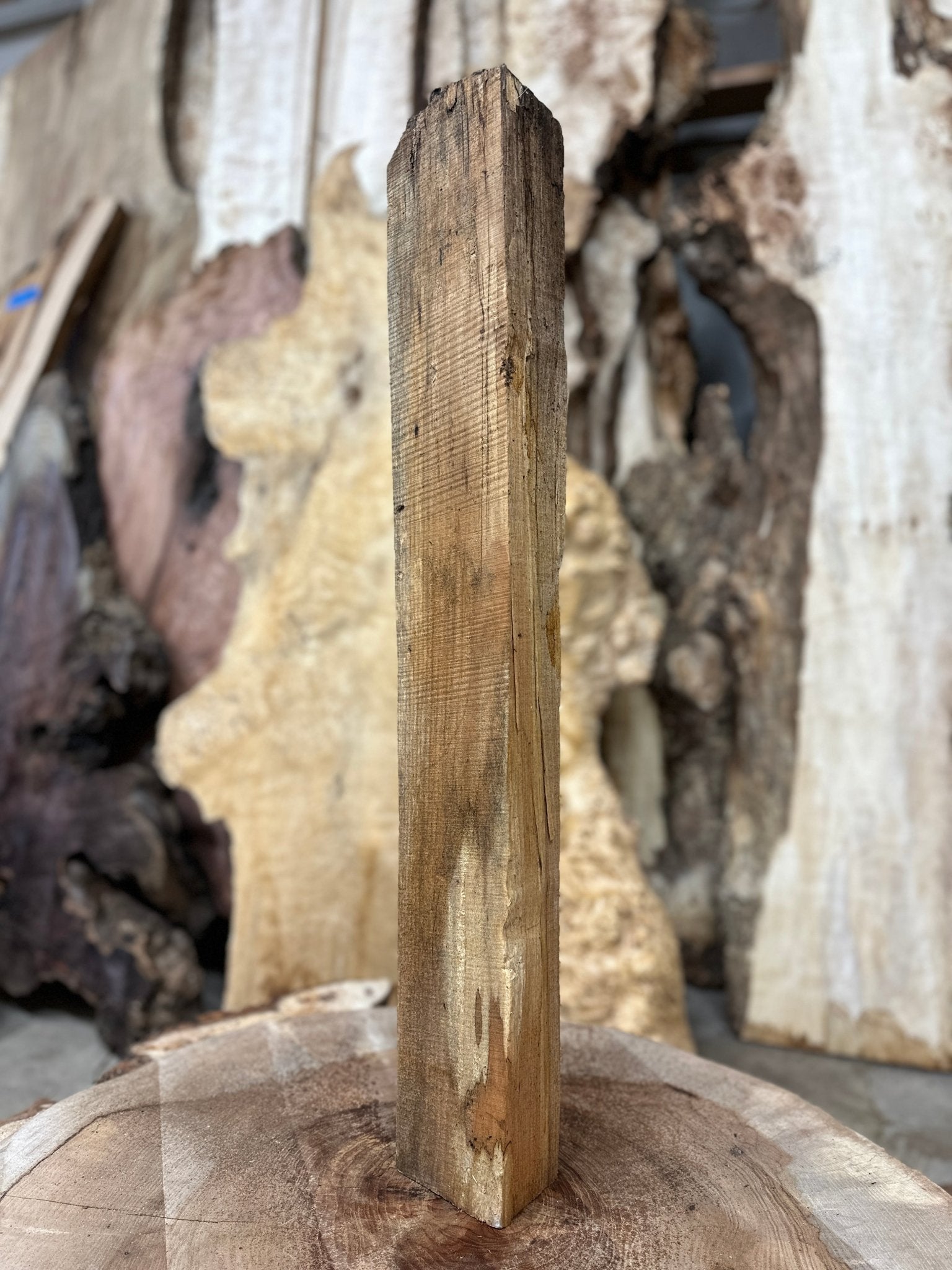 Big Leaf Maple Blank | Big Leaf Maple | Hamilton Lee Supply