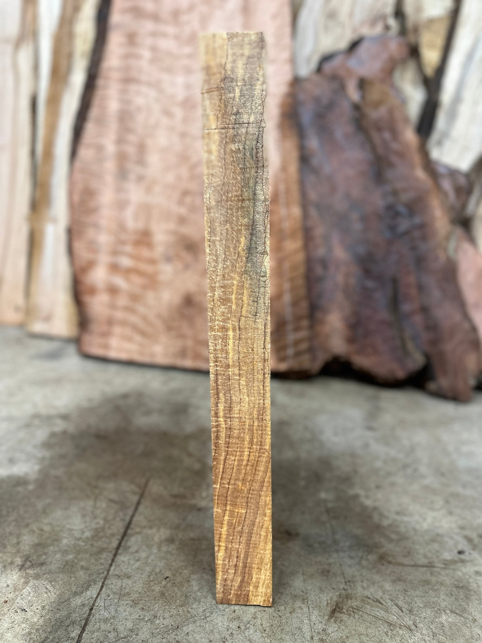 Big Leaf Maple Blank | Big Leaf Maple | Hamilton Lee Supply
