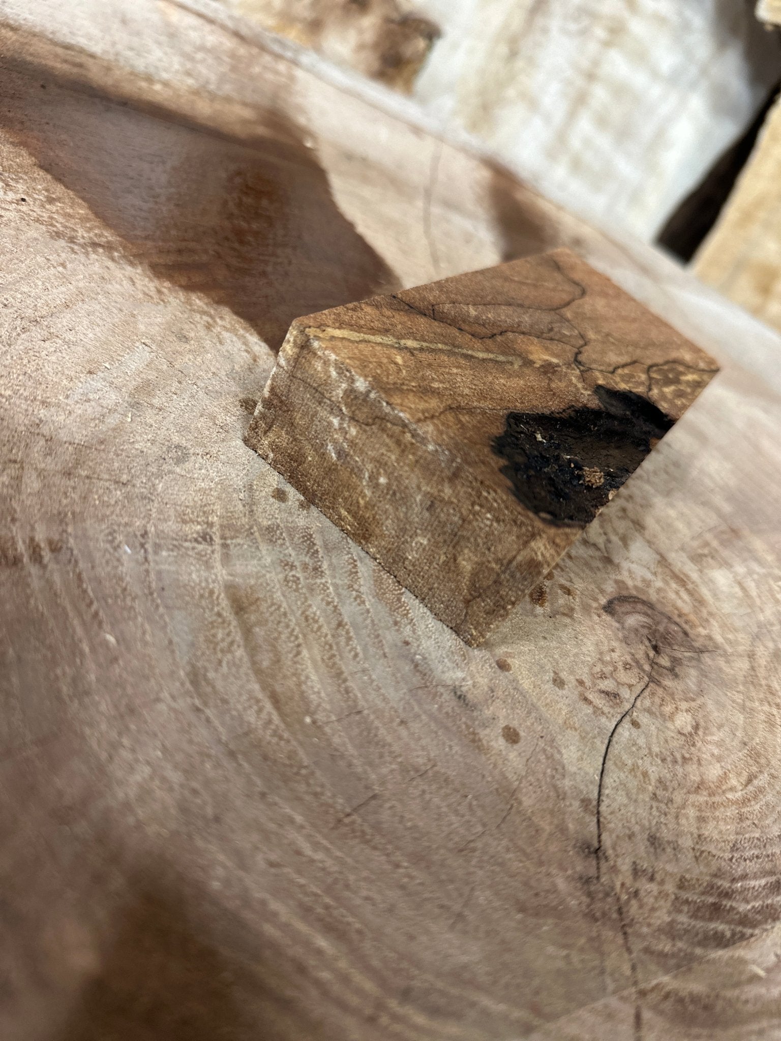 Big Leaf Maple Blank | Big Leaf Maple | Hamilton Lee Supply