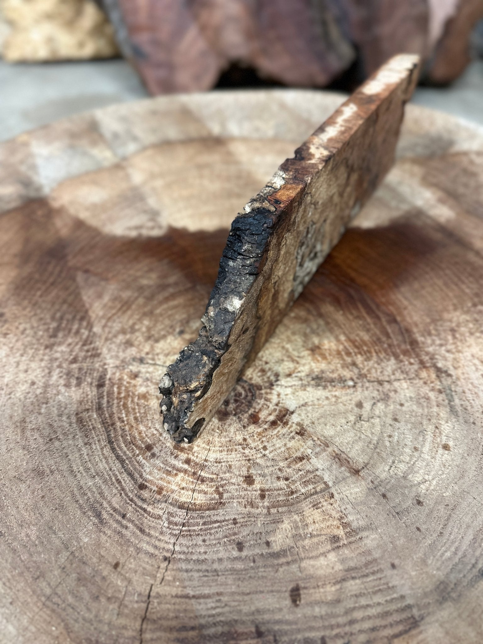 Big Leaf Maple Blank | Big Leaf Maple | Hamilton Lee Supply