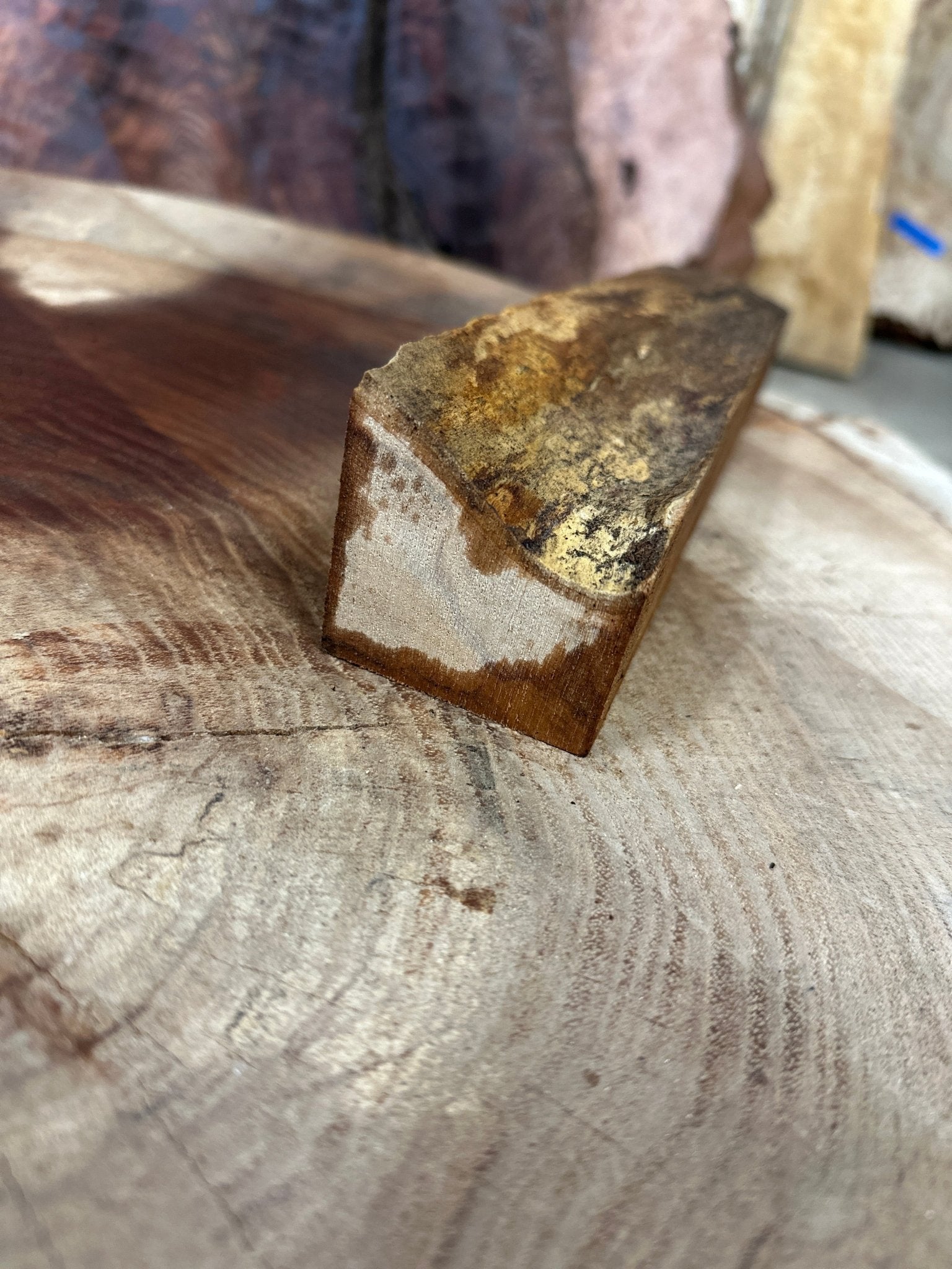 Big Leaf Maple Blank | Big Leaf Maple | Hamilton Lee Supply