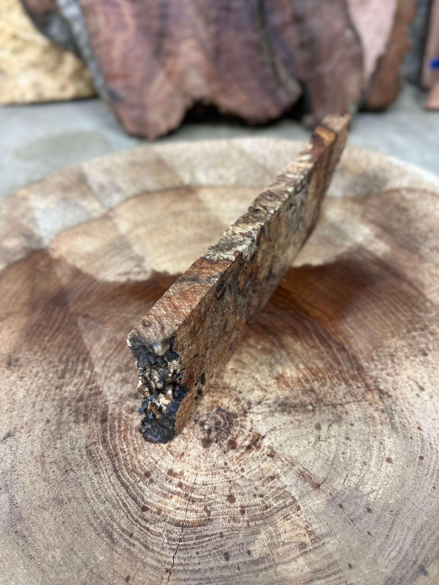 Big Leaf Maple Blank | Big Leaf Maple | Hamilton Lee Supply