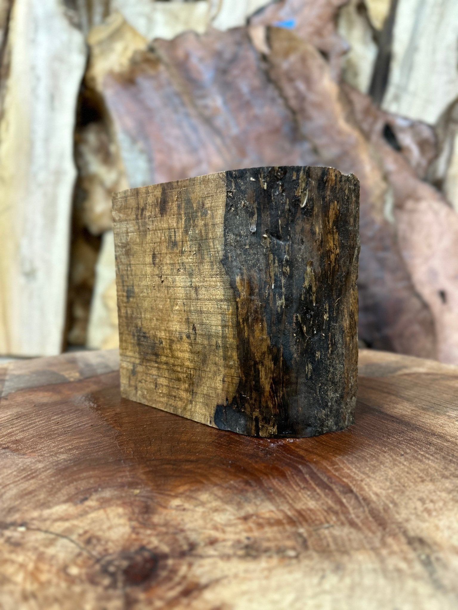 Big Leaf Maple Blank | Big Leaf Maple | Hamilton Lee Supply