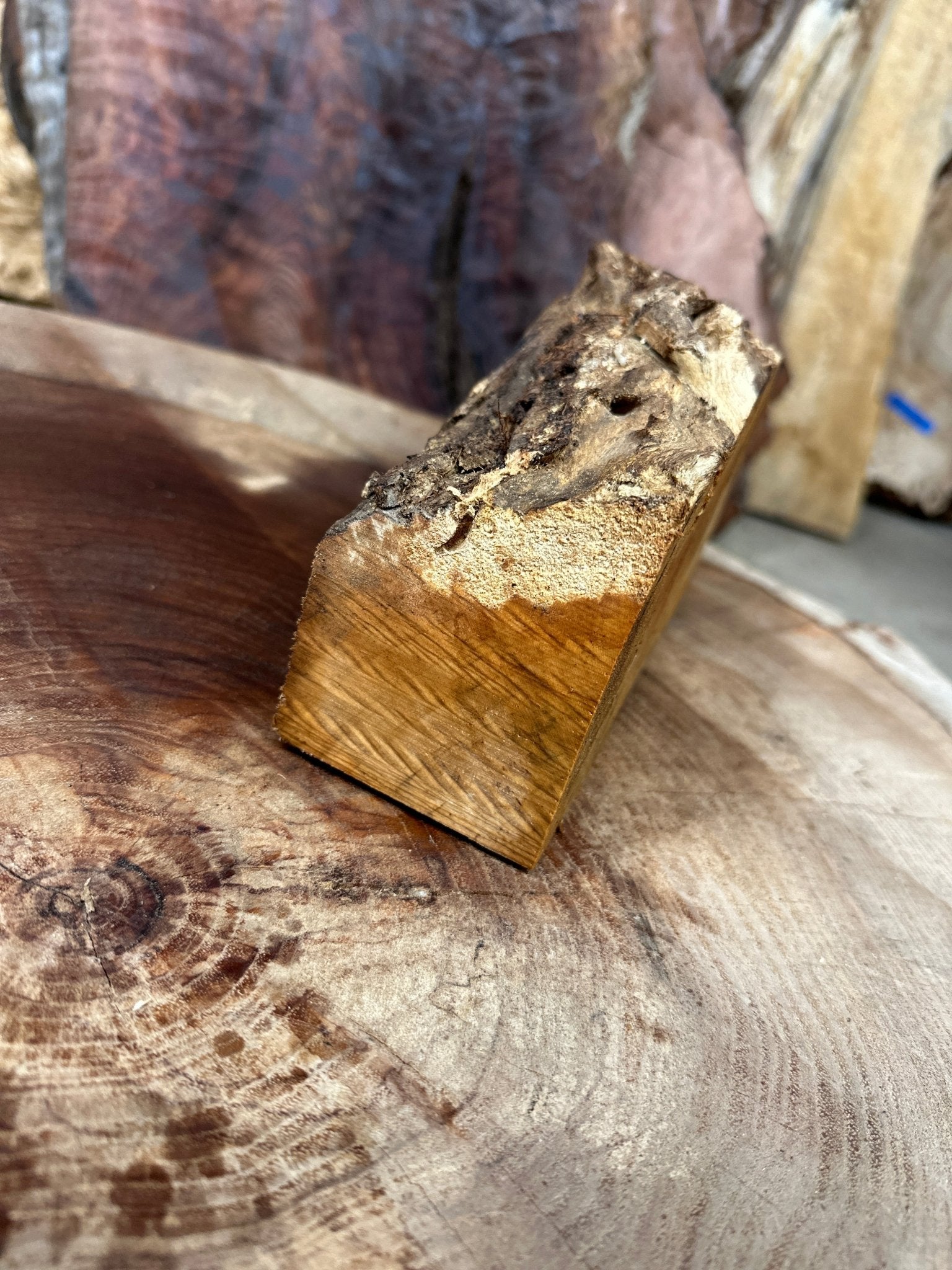 Big Leaf Maple Blank | Big Leaf Maple | Hamilton Lee Supply