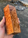 Hamilton Lee Supply - Big Leaf Maple Burl Call Blank - Hamilton Lee Supply