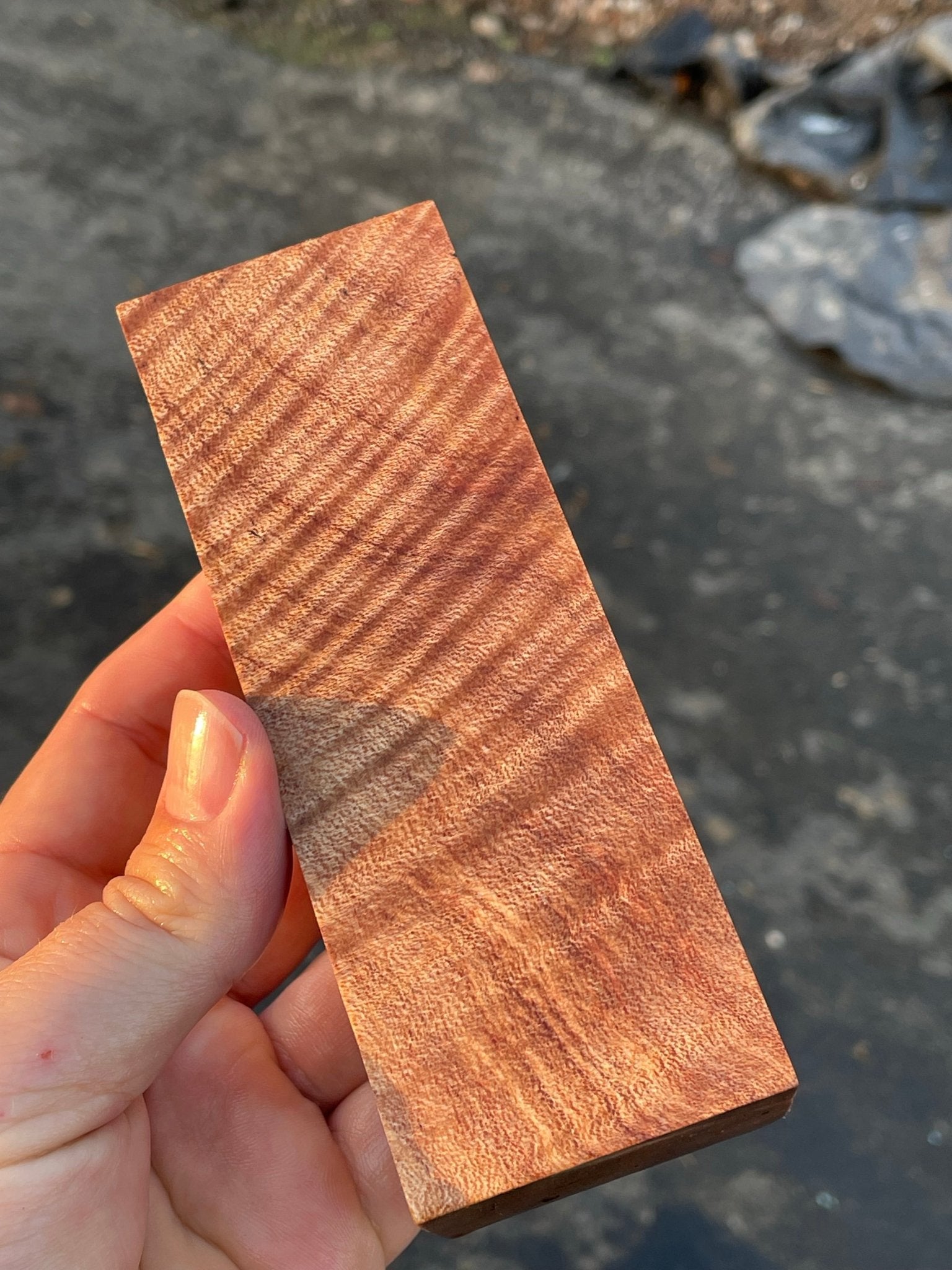Big Leaf Maple Burl Call Blank | Craft Wood & Shapes | Hamilton Lee Supply