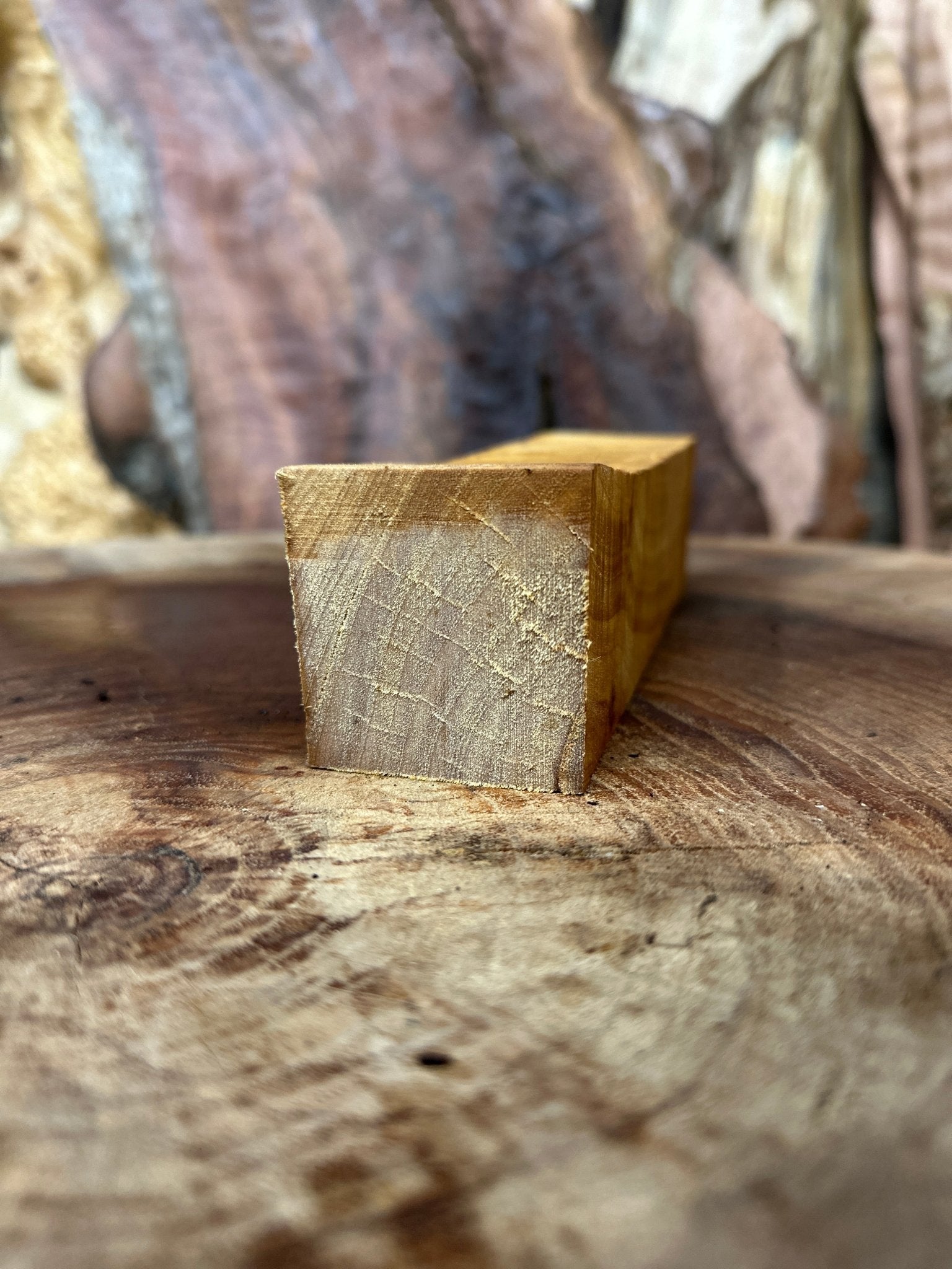 Birch Blank | Birch | Hamilton Lee Supply