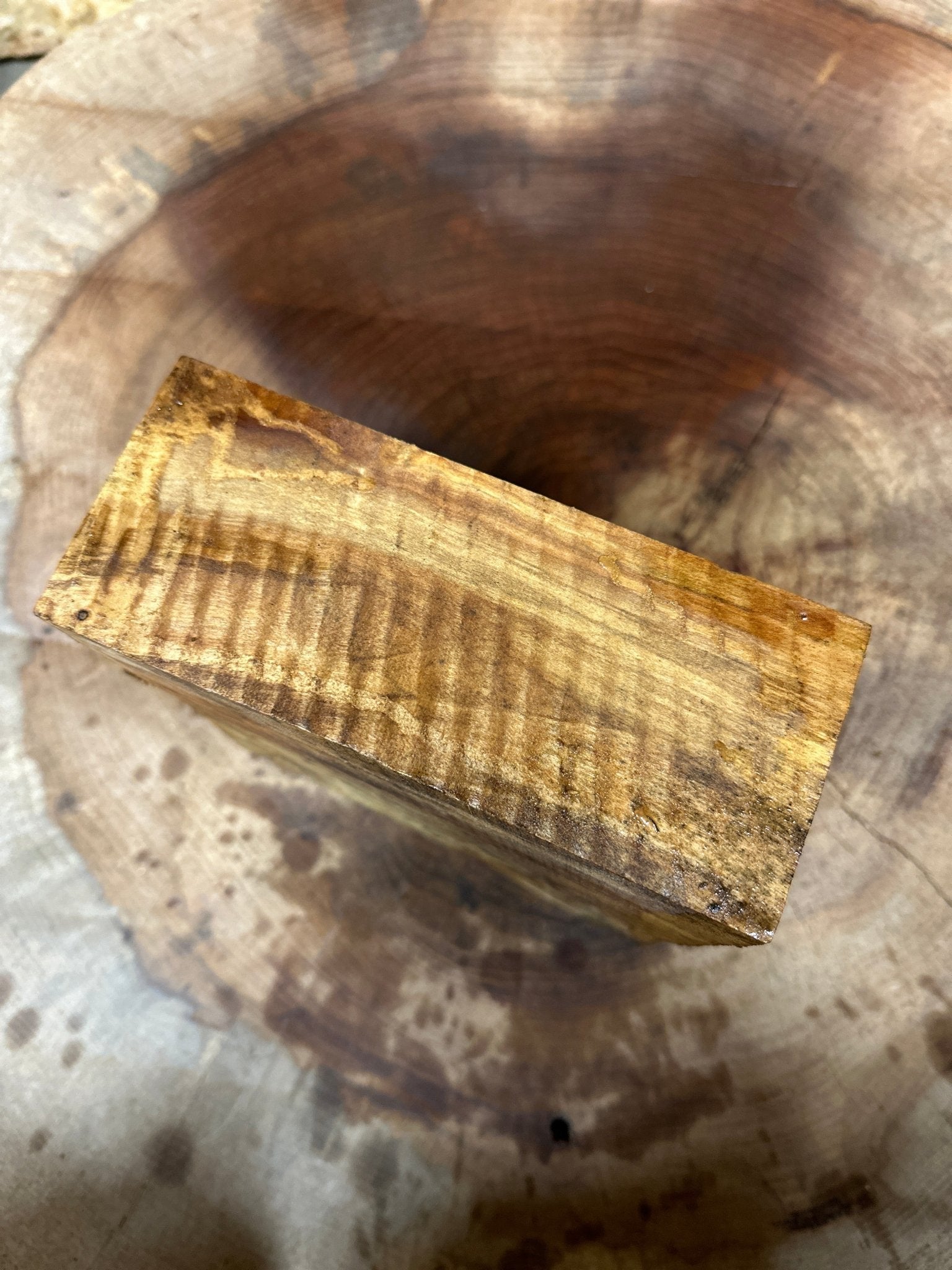 Birch Blank | Birch | Hamilton Lee Supply