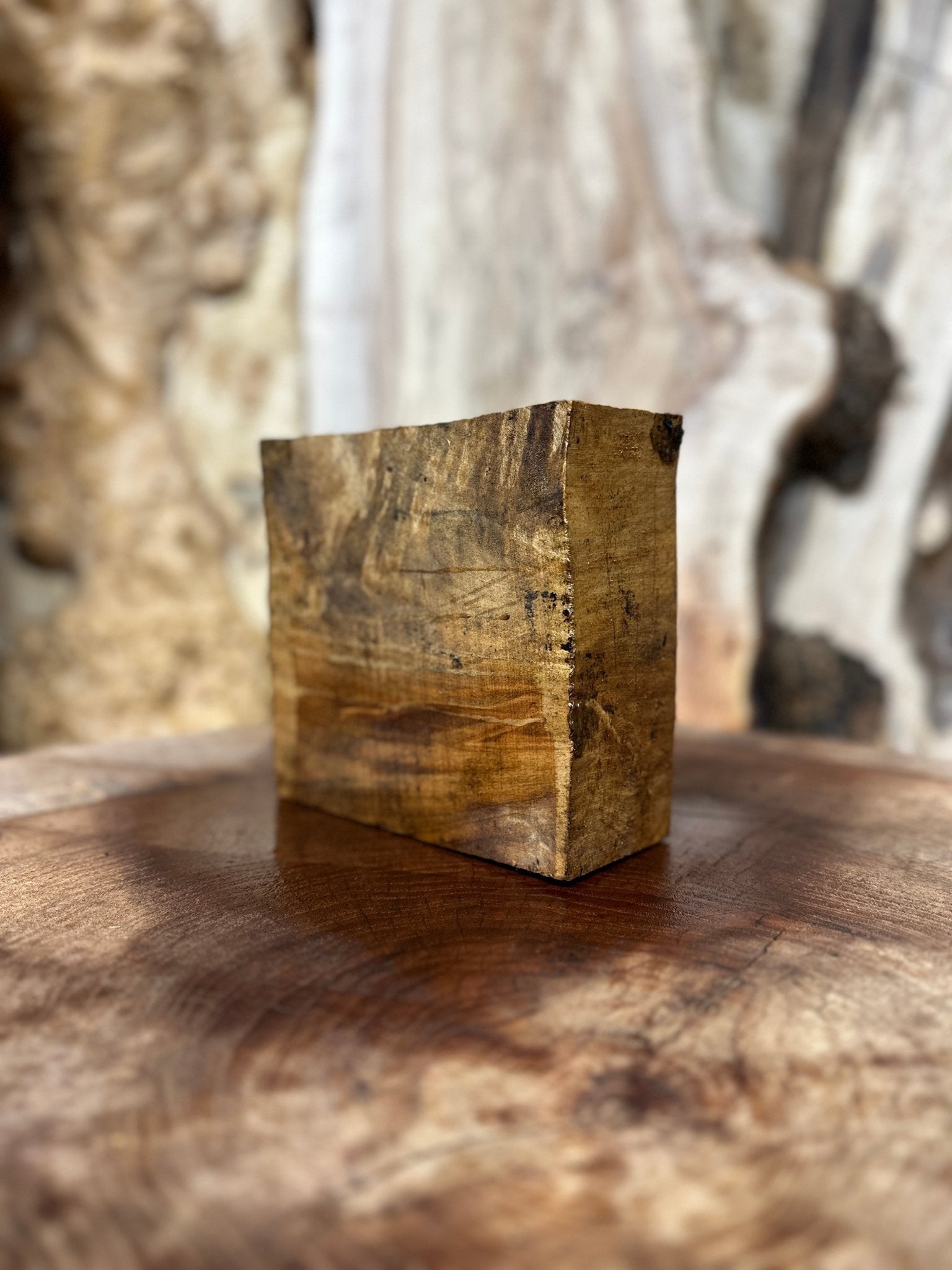 Birch Blank | Birch | Hamilton Lee Supply