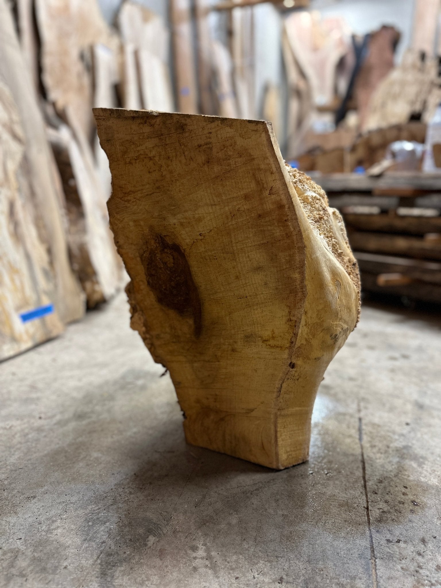 Black Locust Burl Cap | Black Locust | Double Diamond