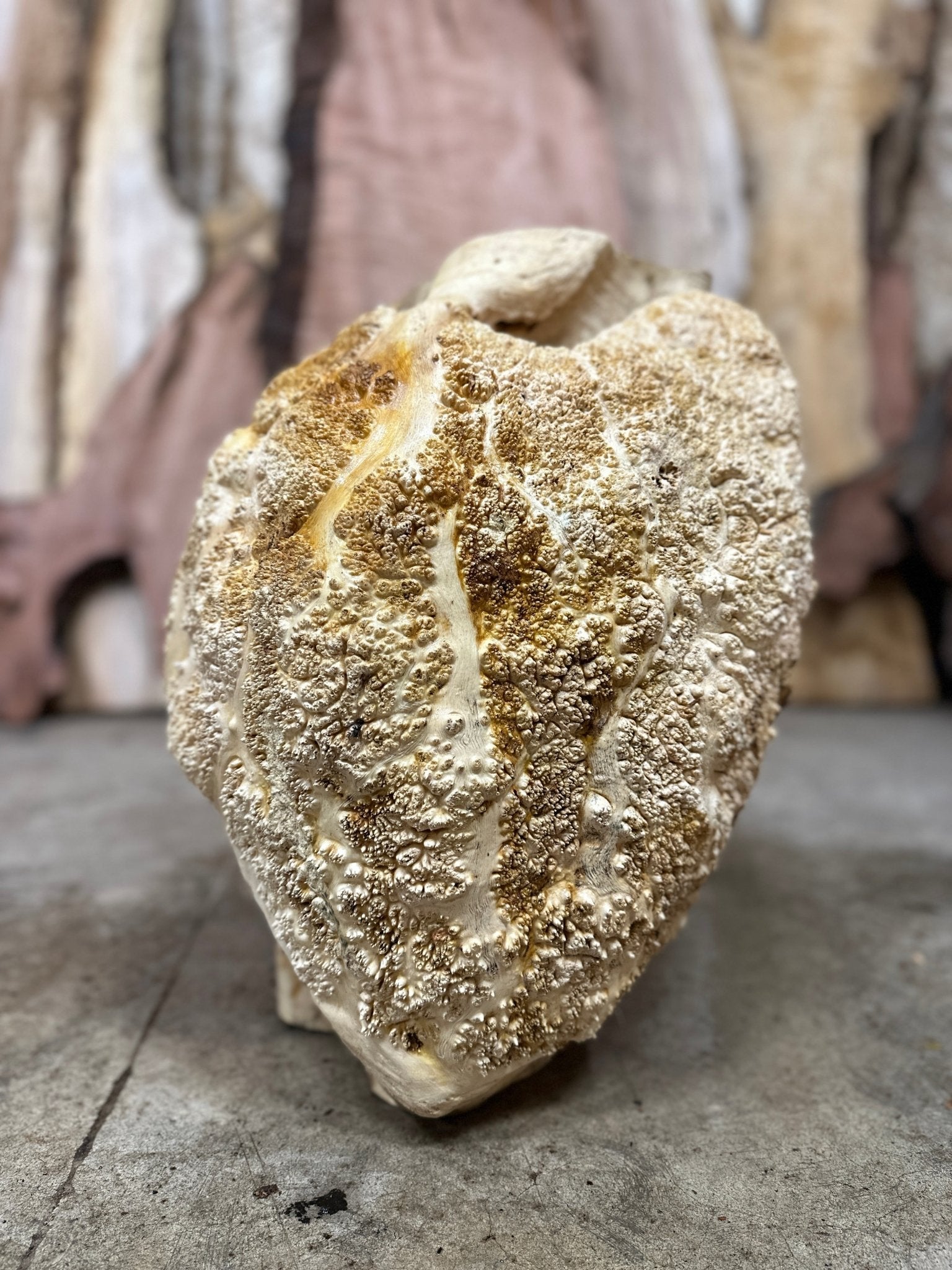 Black Locust Burl Cap | Black Locust | Double Diamond