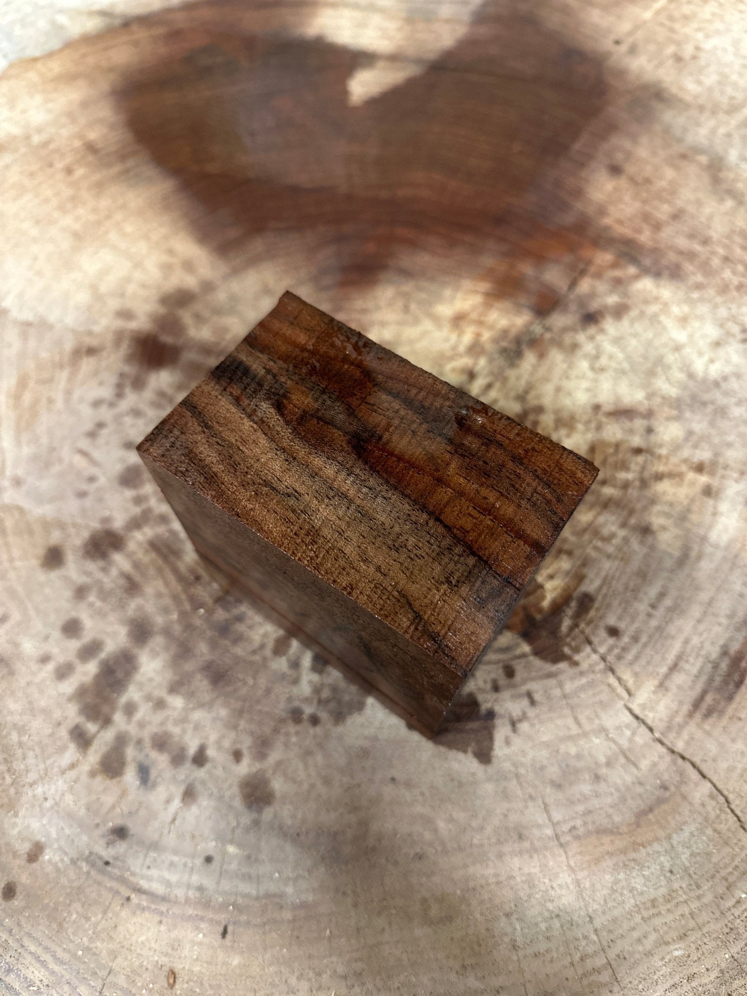 Black Walnut Blank | Big Leaf Maple | Hamilton Lee Supply