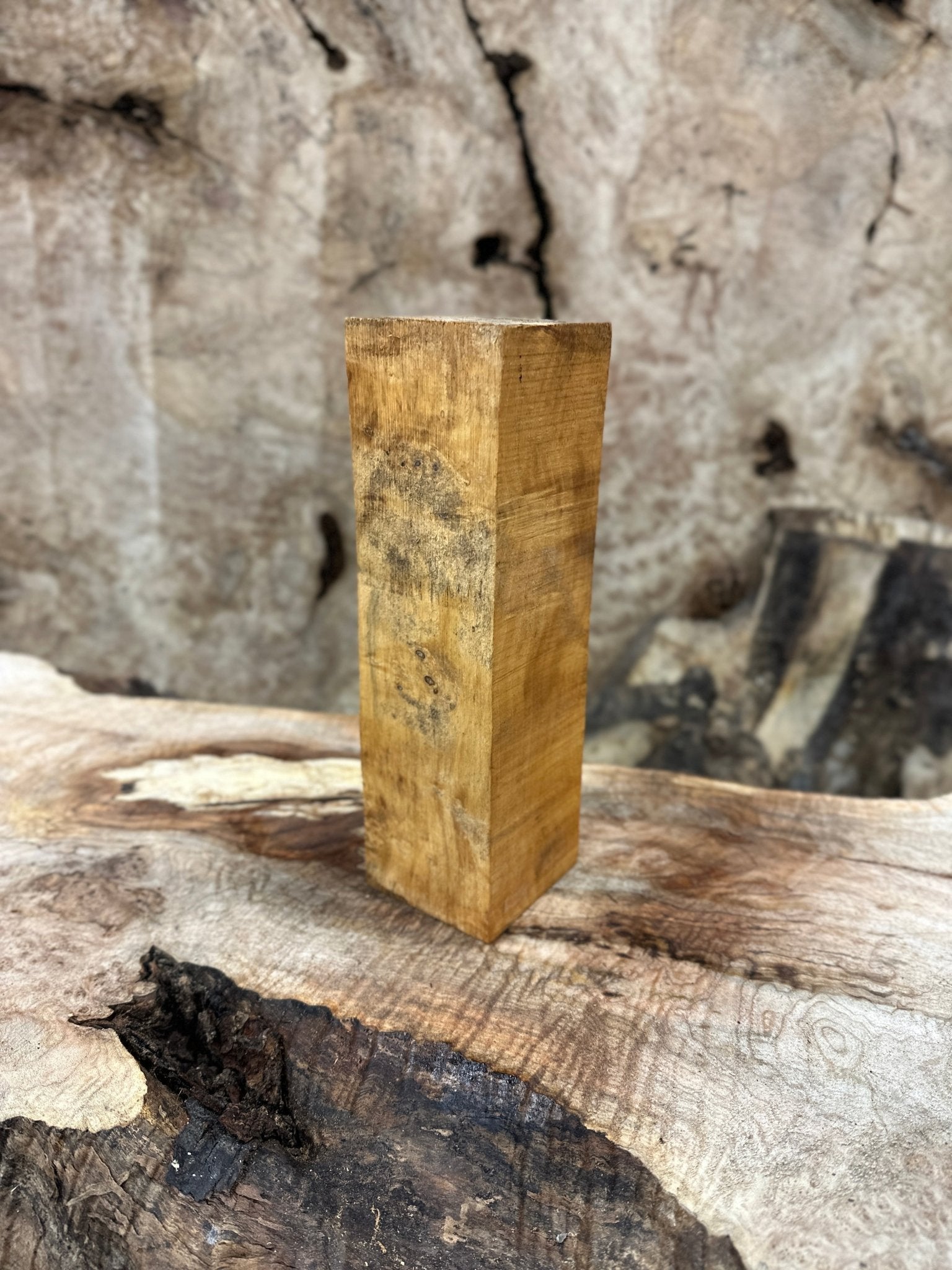 Box Elder Blank | Box Elder | Hamilton Lee Supply