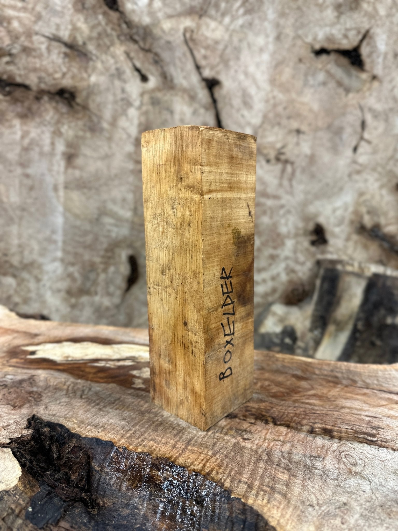 Box Elder Blank | Box Elder | Hamilton Lee Supply