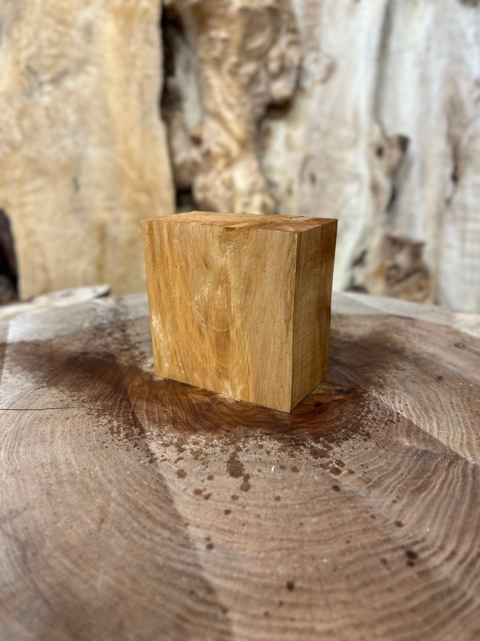 Big Leaf Maple Blank | Big Leaf Maple | Hamilton Lee Supply