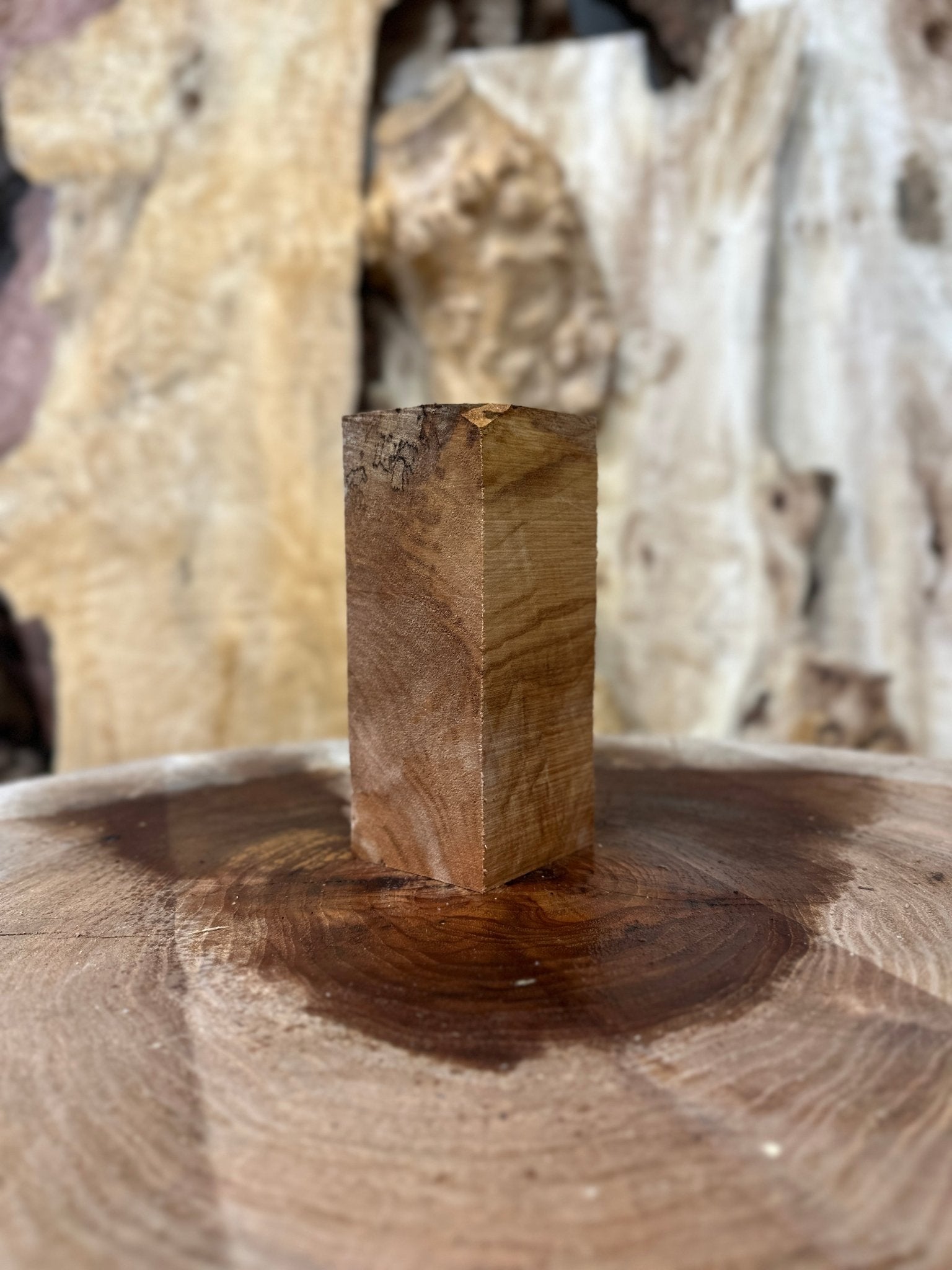 Big Leaf Maple Blank | Big Leaf Maple | Hamilton Lee Supply