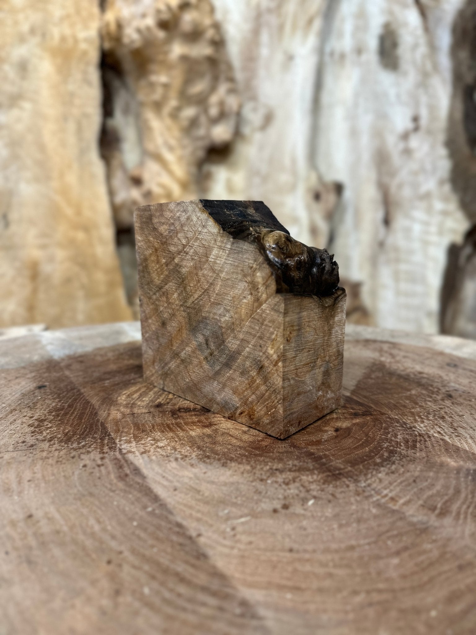 Big Leaf Maple Burl Blank | Big Leaf Maple | Hamilton Lee Supply