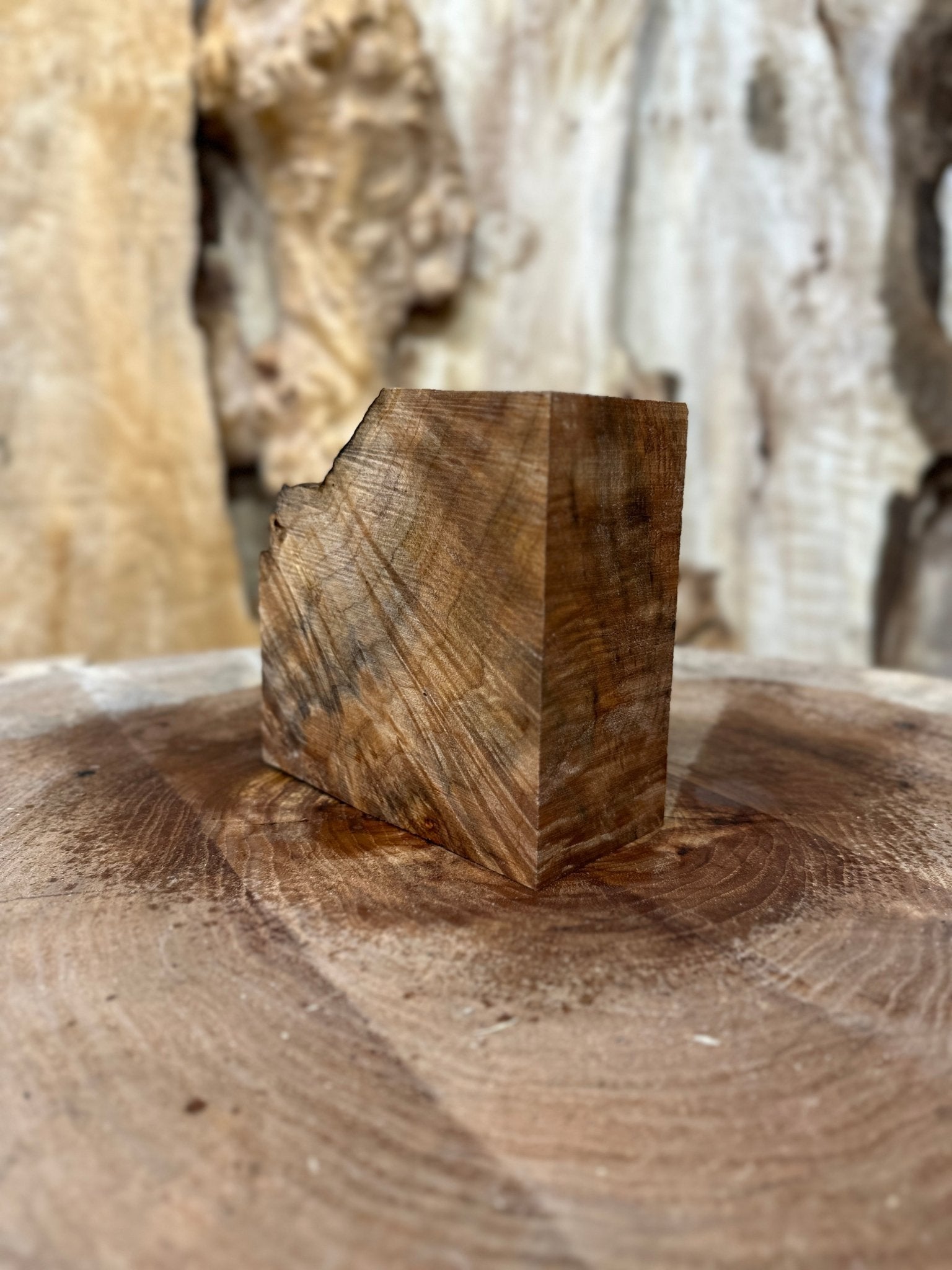 Big Leaf Maple Burl Blank | Big Leaf Maple | Hamilton Lee Supply